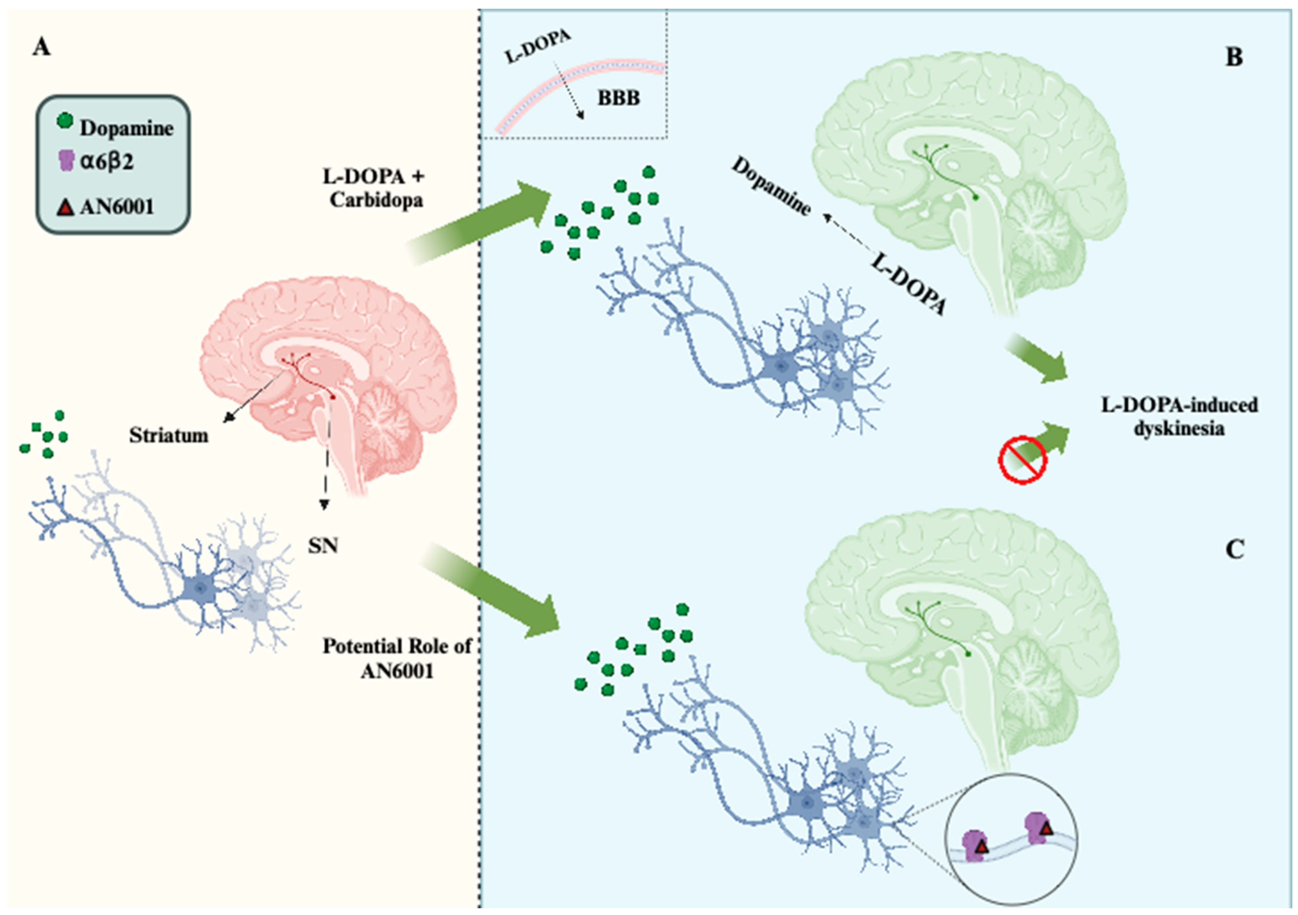 Receptors 04 00001 g004 Receptors 04 00001 g004