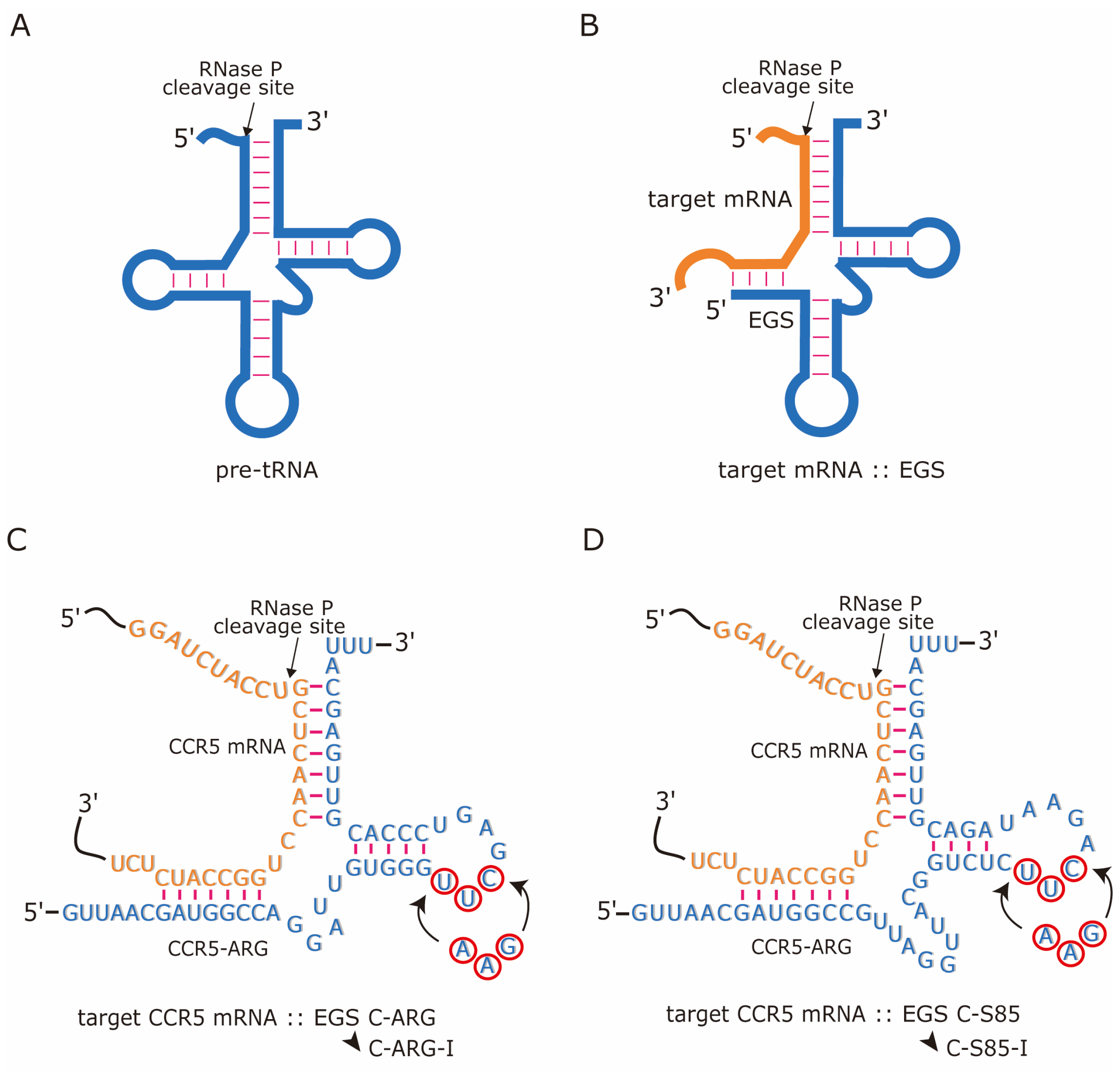 Receptors 04 00003 g001