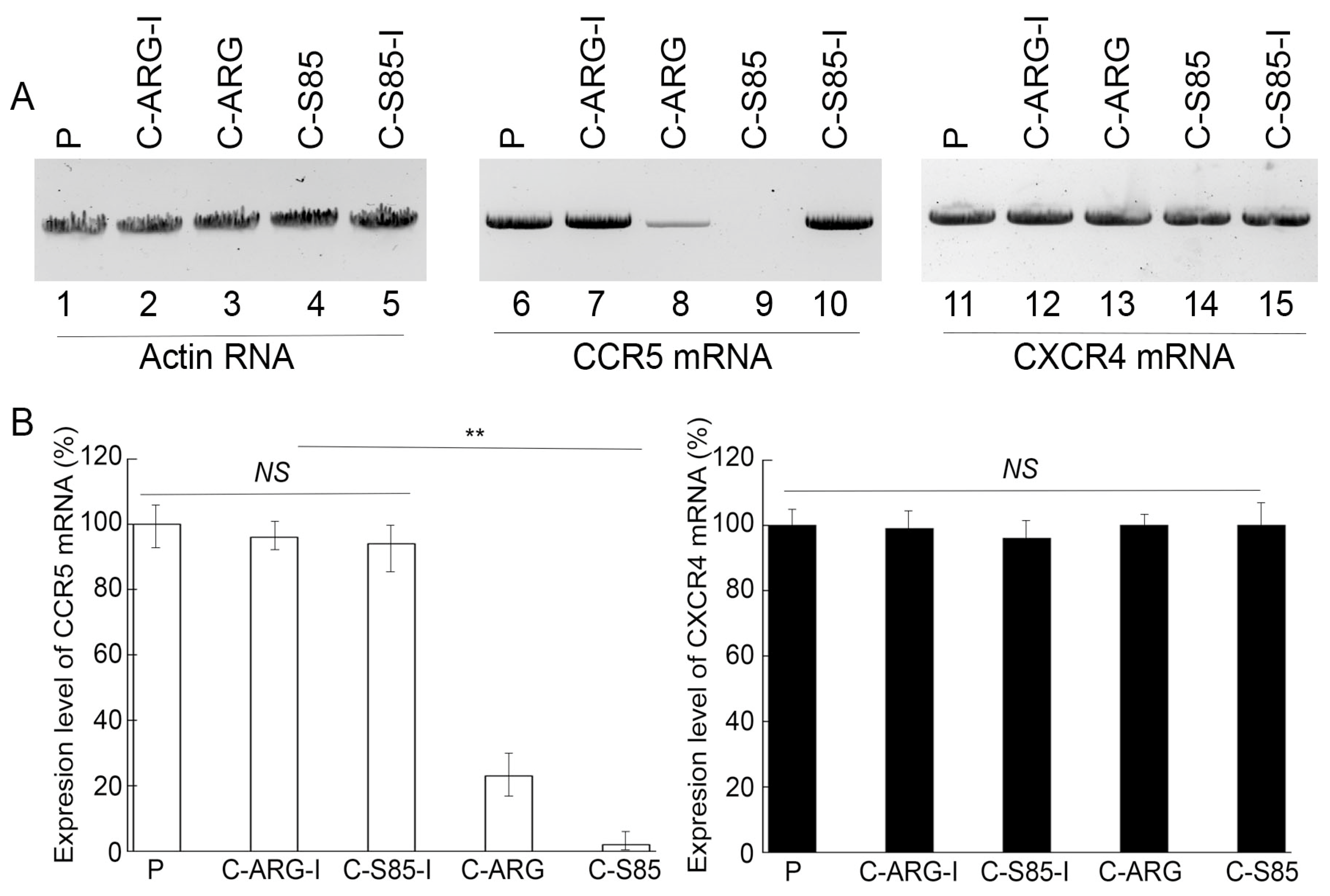 Receptors 04 00003 g003