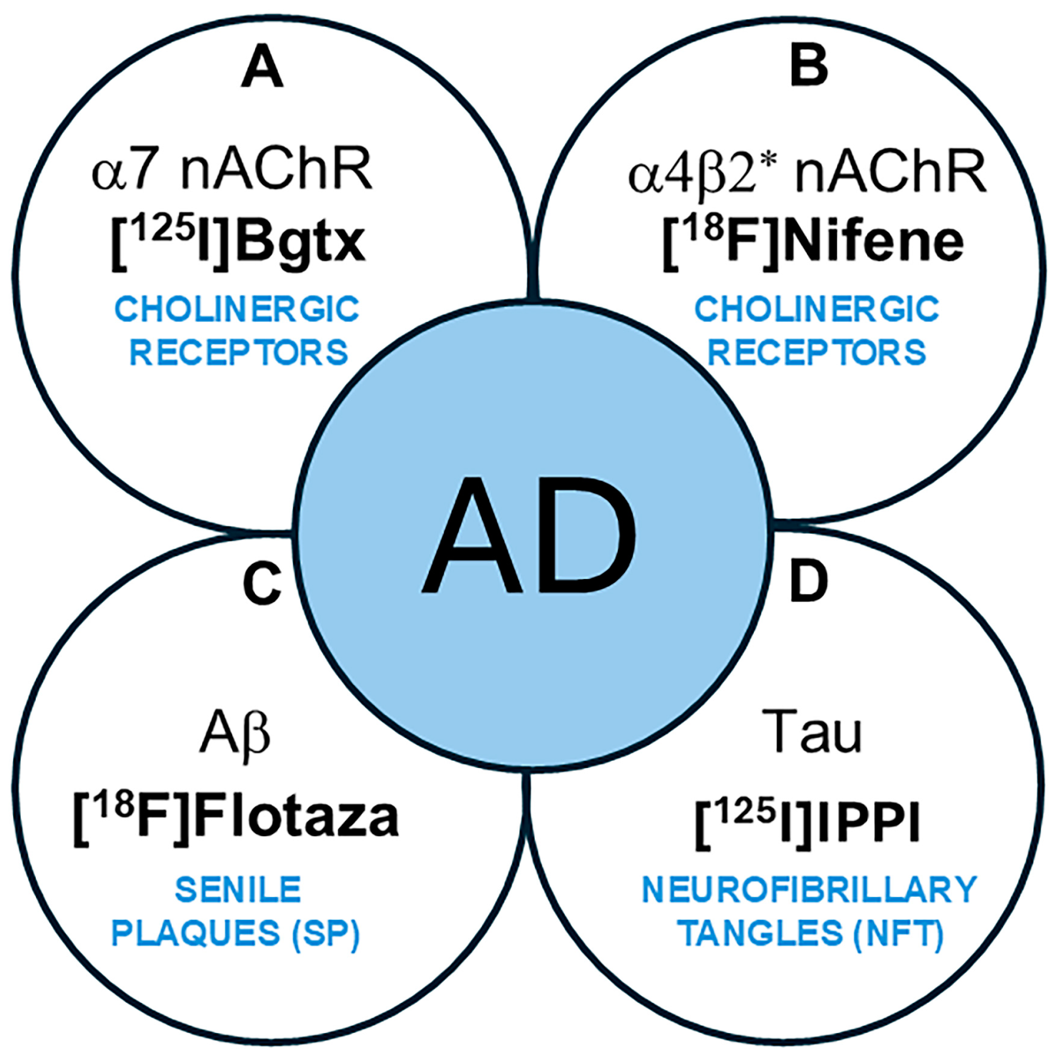 Receptors 04 00007 g001
