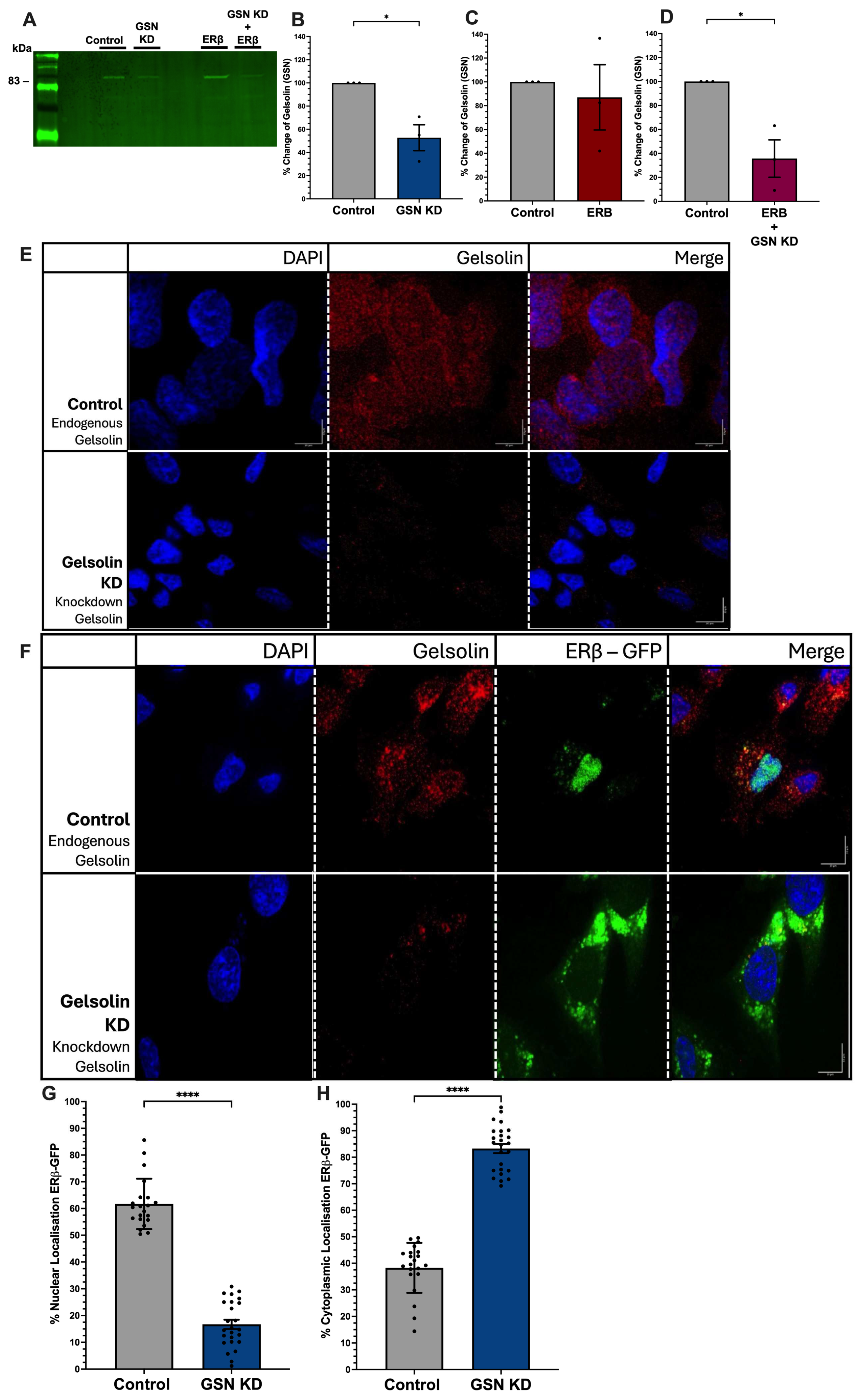 Receptors 04 00010 g001 Receptors 04 00010 g001