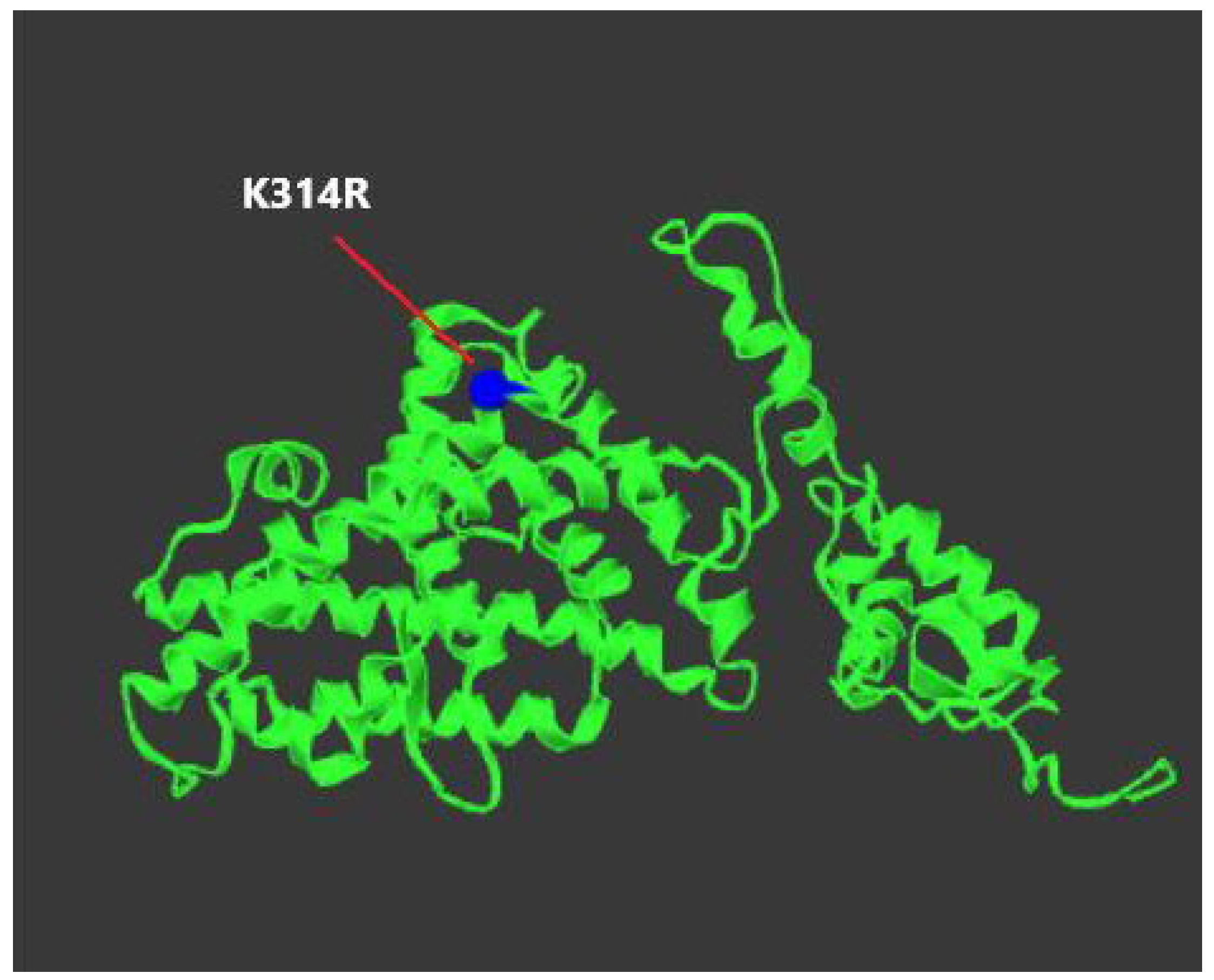Receptors 04 00016 g013 Receptors 04 00016 g013