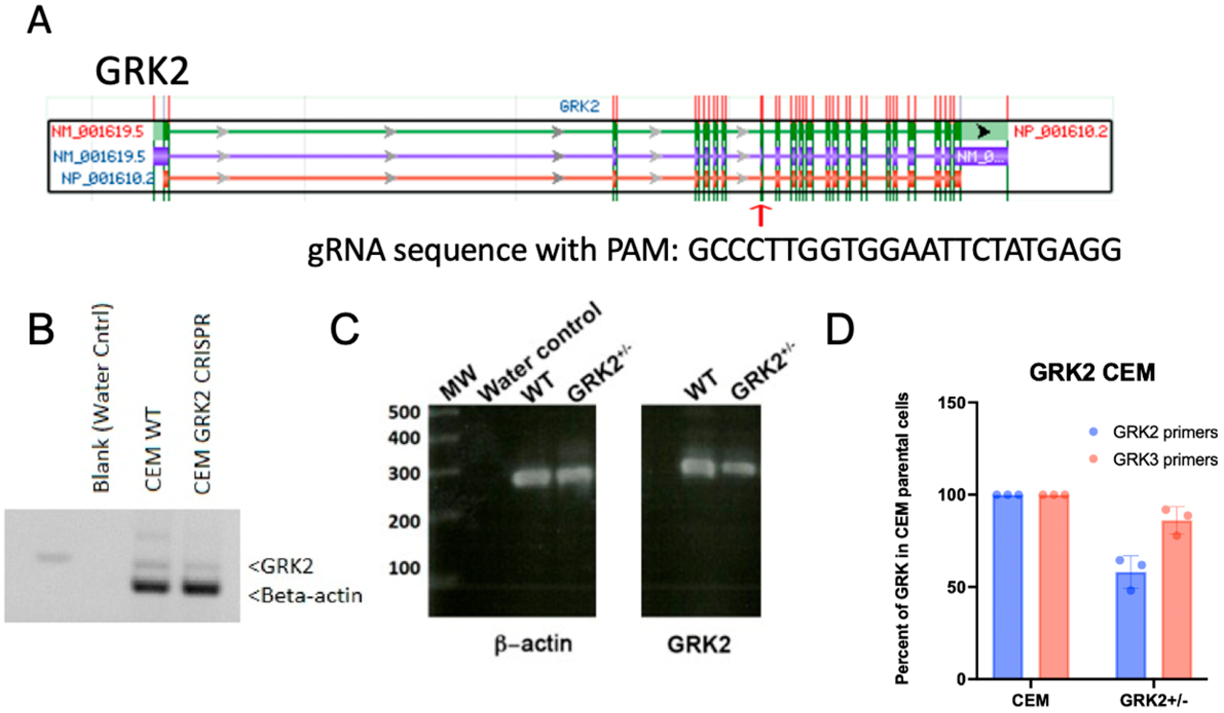 Receptors 04 00017 g001