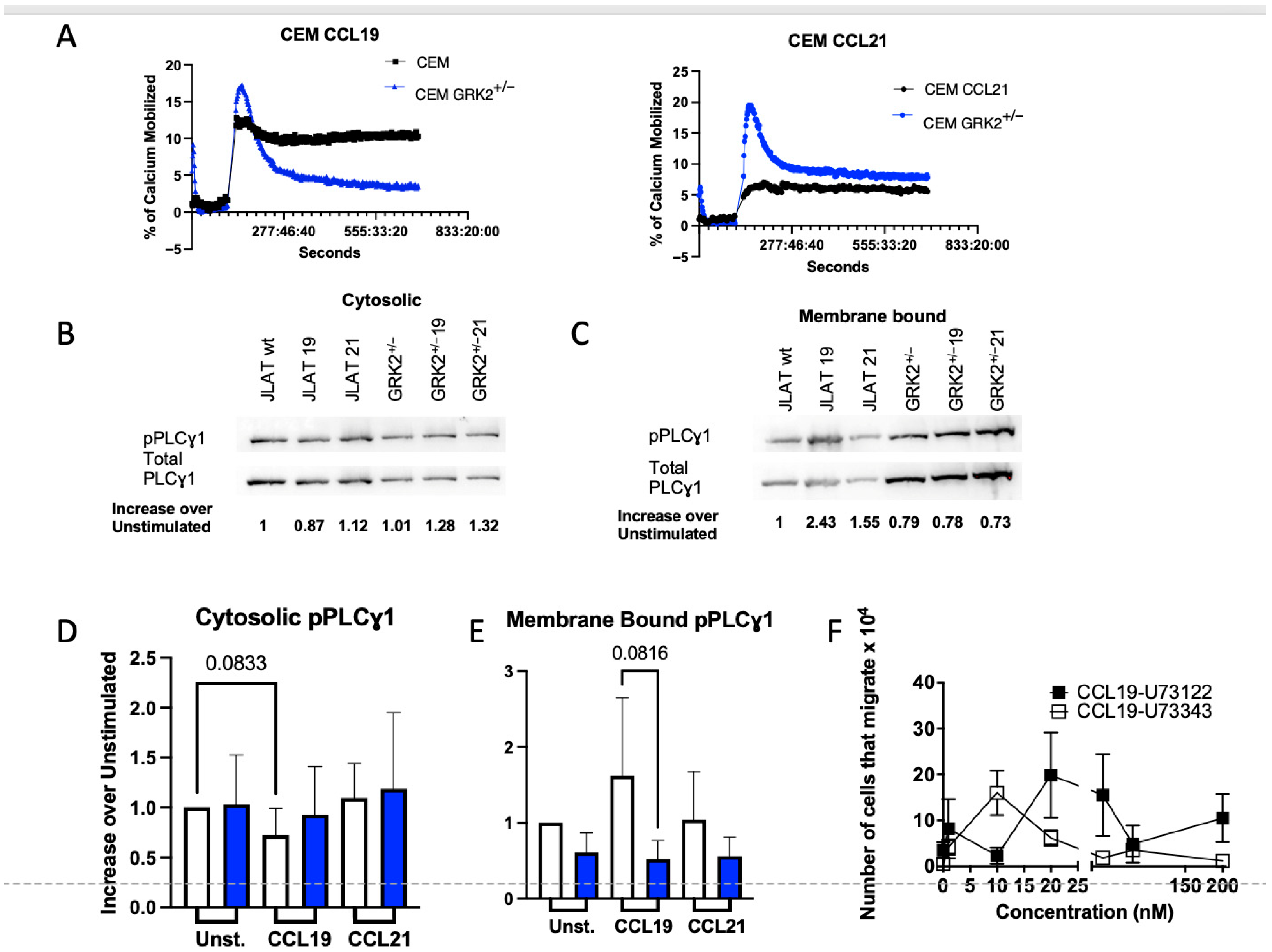 Receptors 04 00017 g008