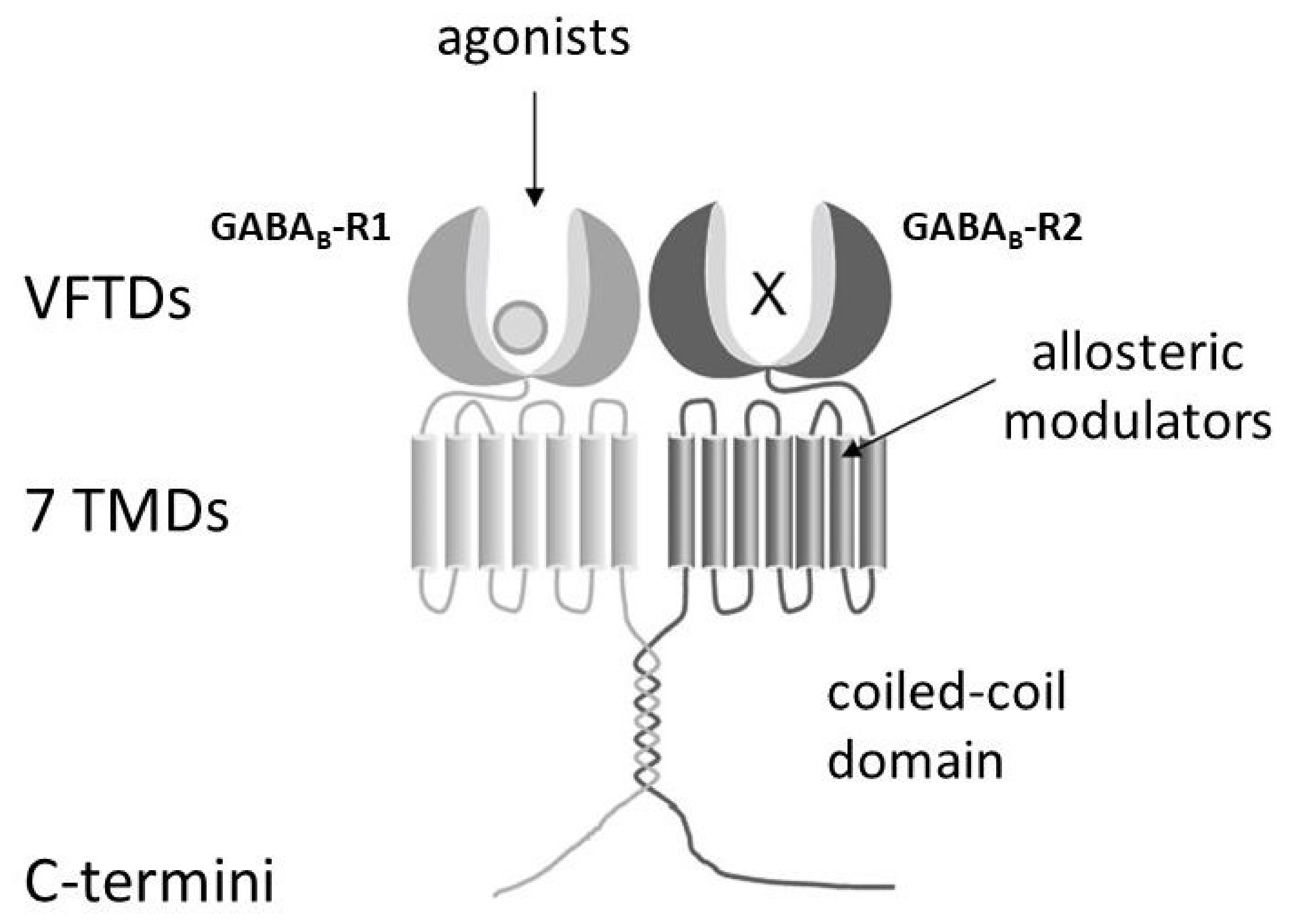 Receptors 05 00029 g006 Receptors 05 00029 g006