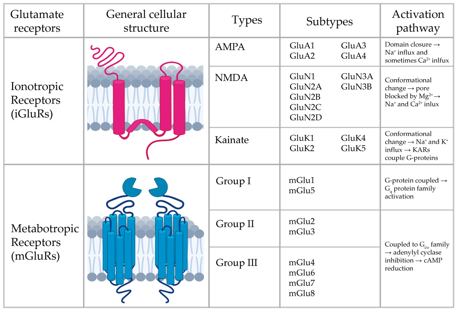 Receptors 05 00031 g001 Receptors 05 00031 g001
