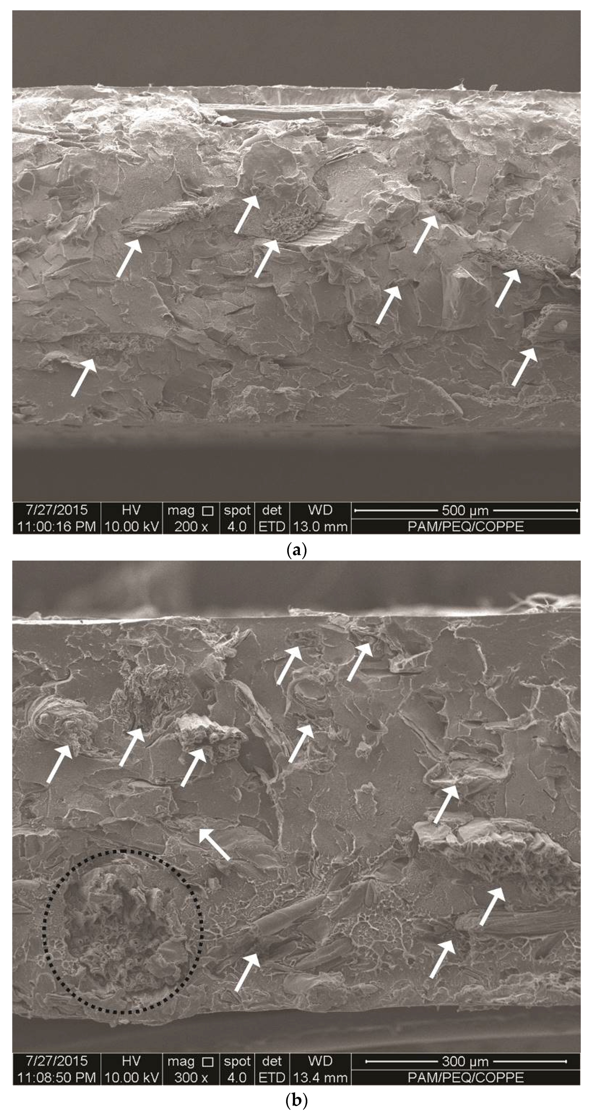 Recycling 01 00205 g001a