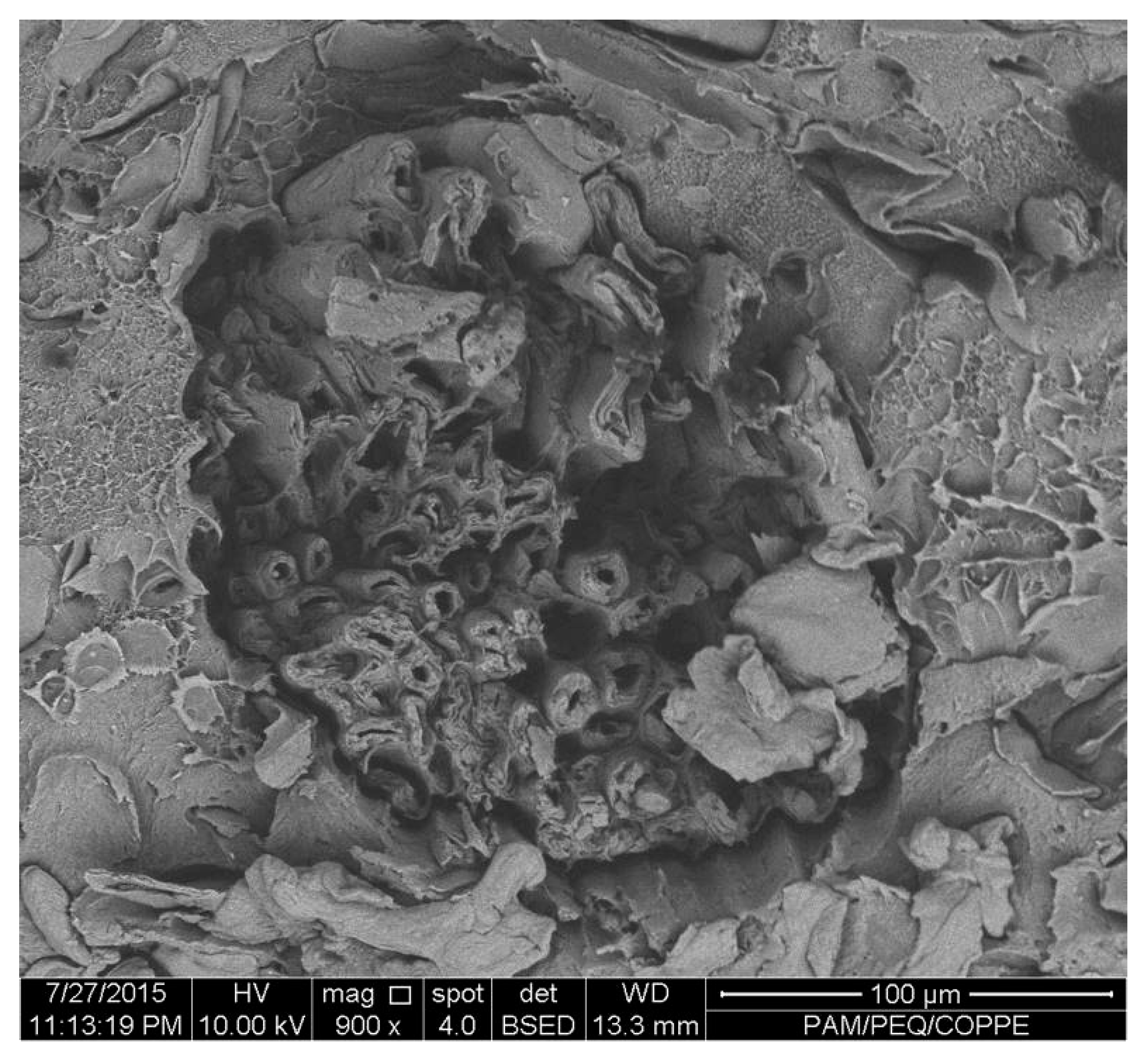 Recycling 01 00205 g002