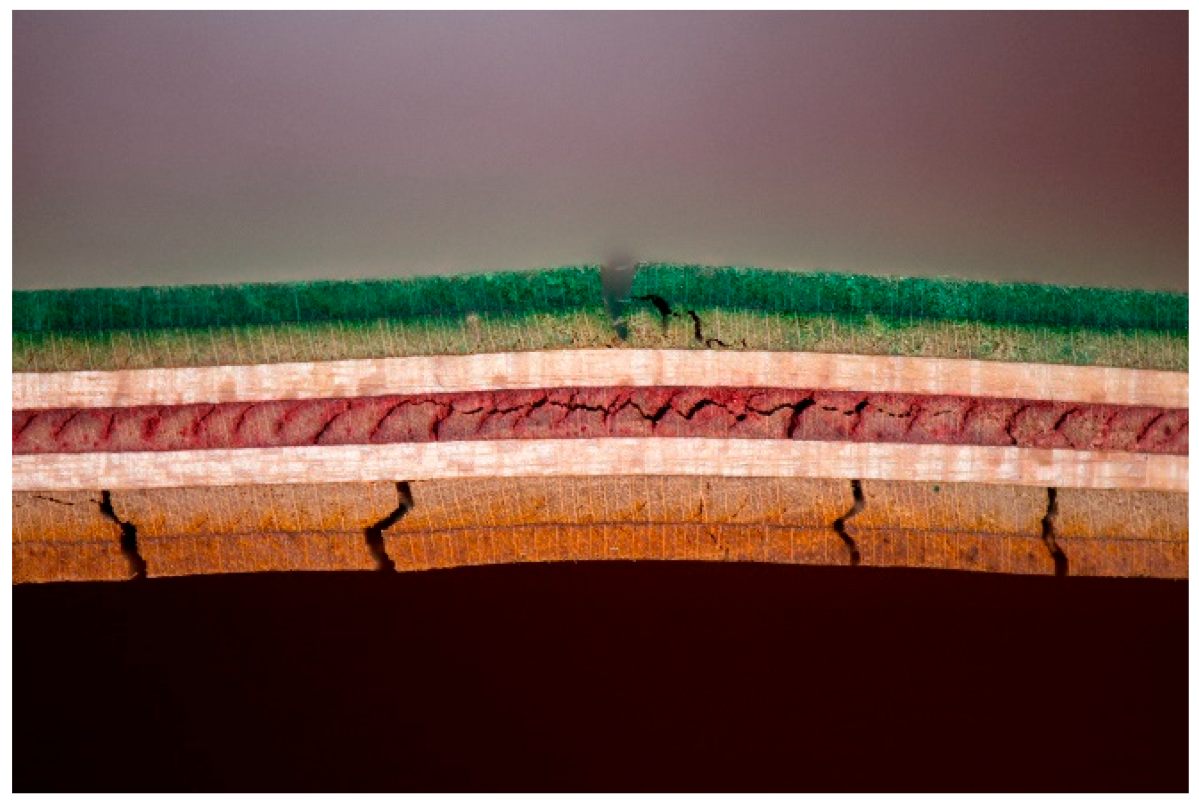 Recycling 03 00020 g018