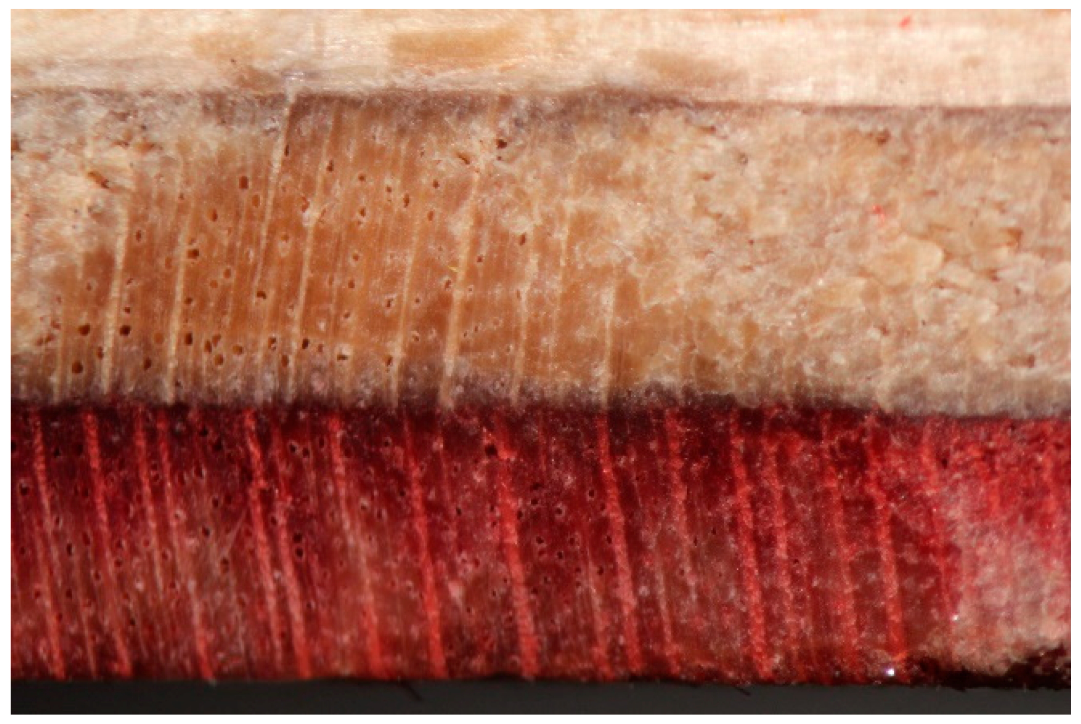 Recycling 03 00020 g021