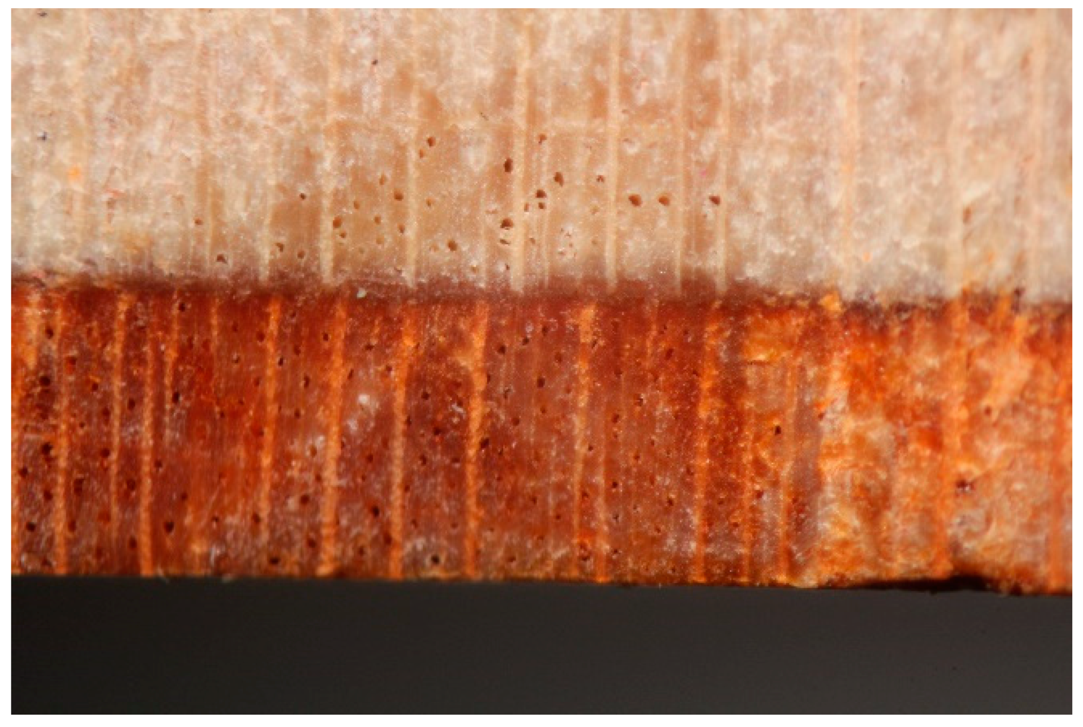 Recycling 03 00020 g022