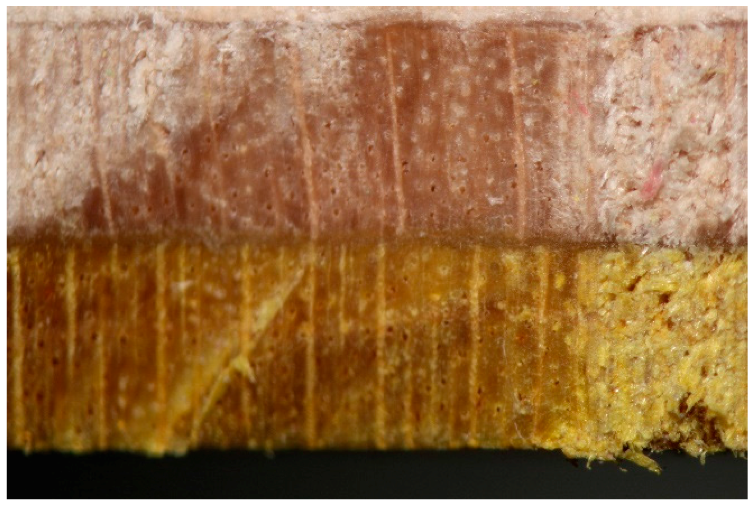 Recycling 03 00020 g023