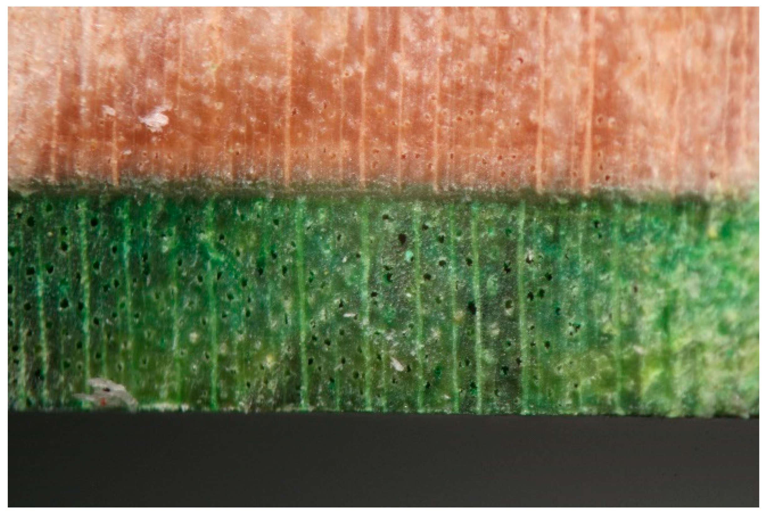 Recycling 03 00020 g024