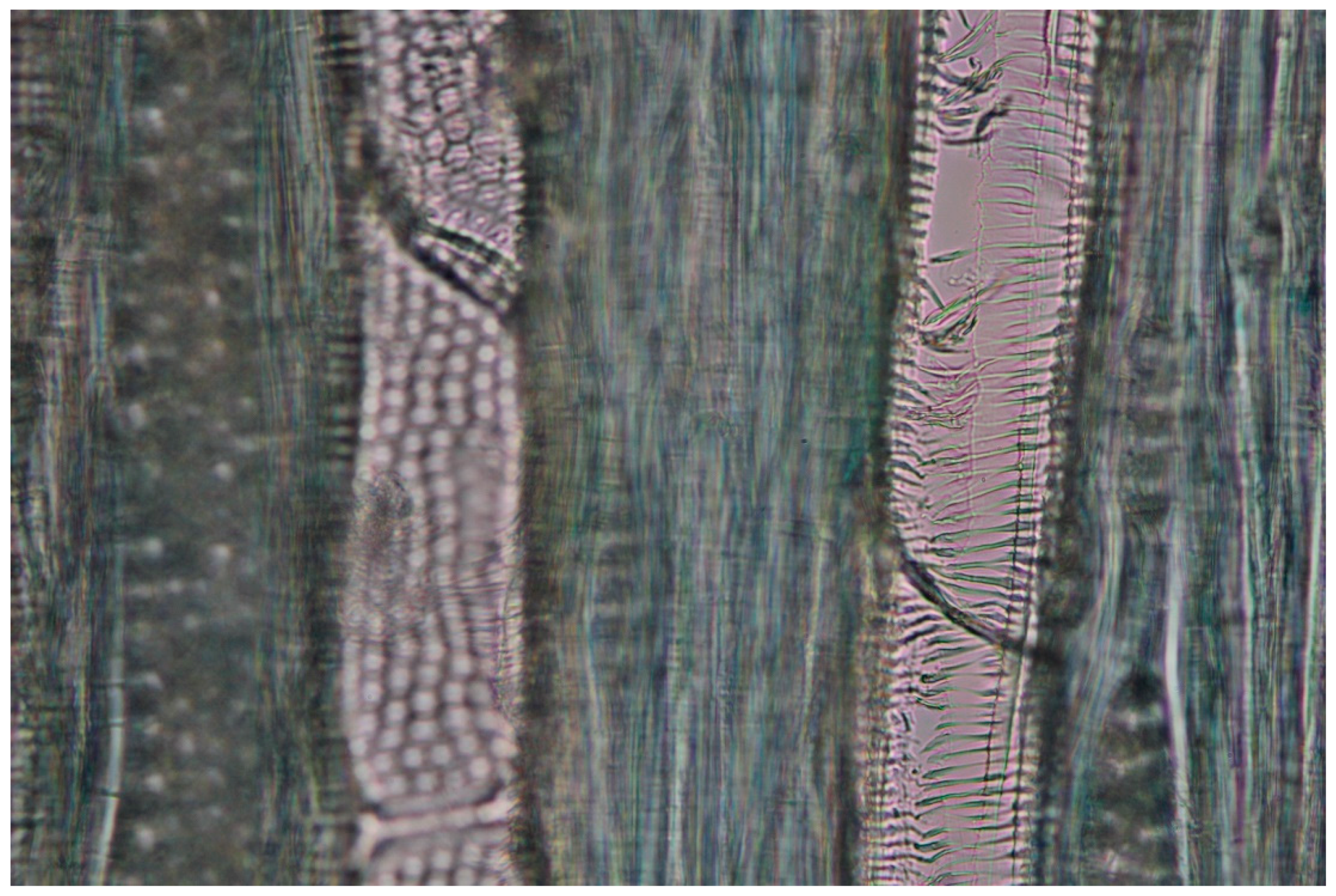 Recycling 03 00020 g025