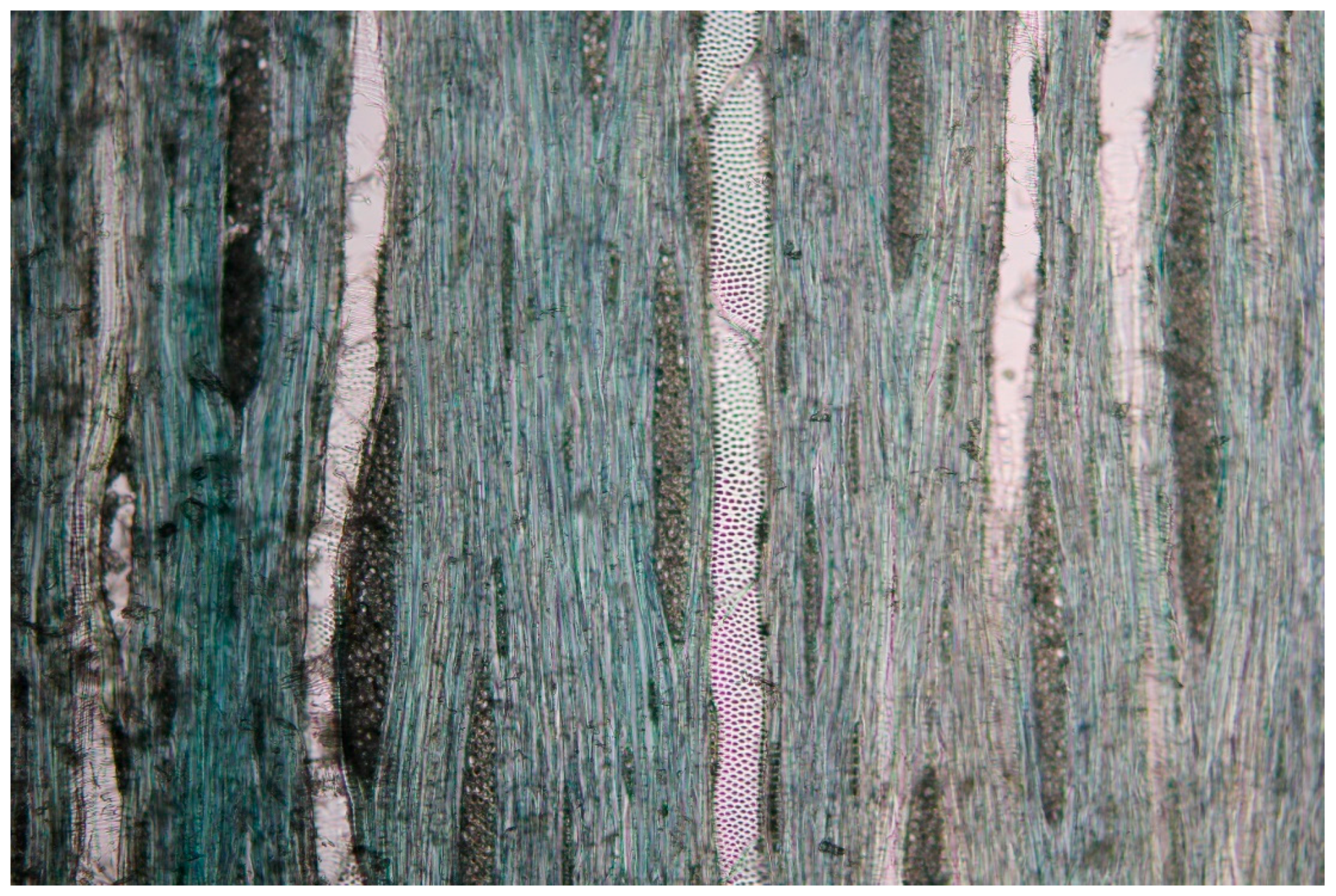 Recycling 03 00020 g026