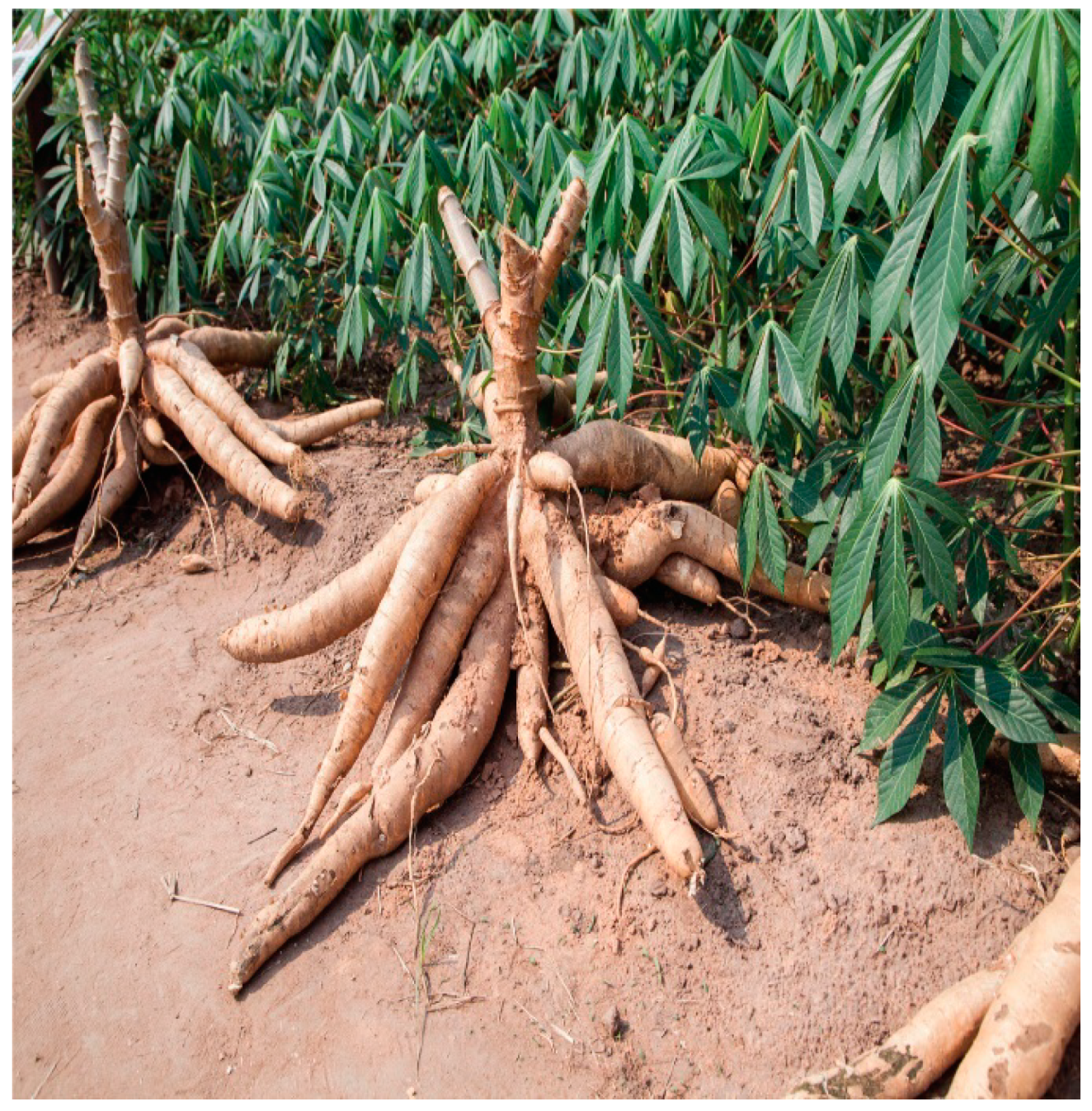 Recycling 03 00058 g002