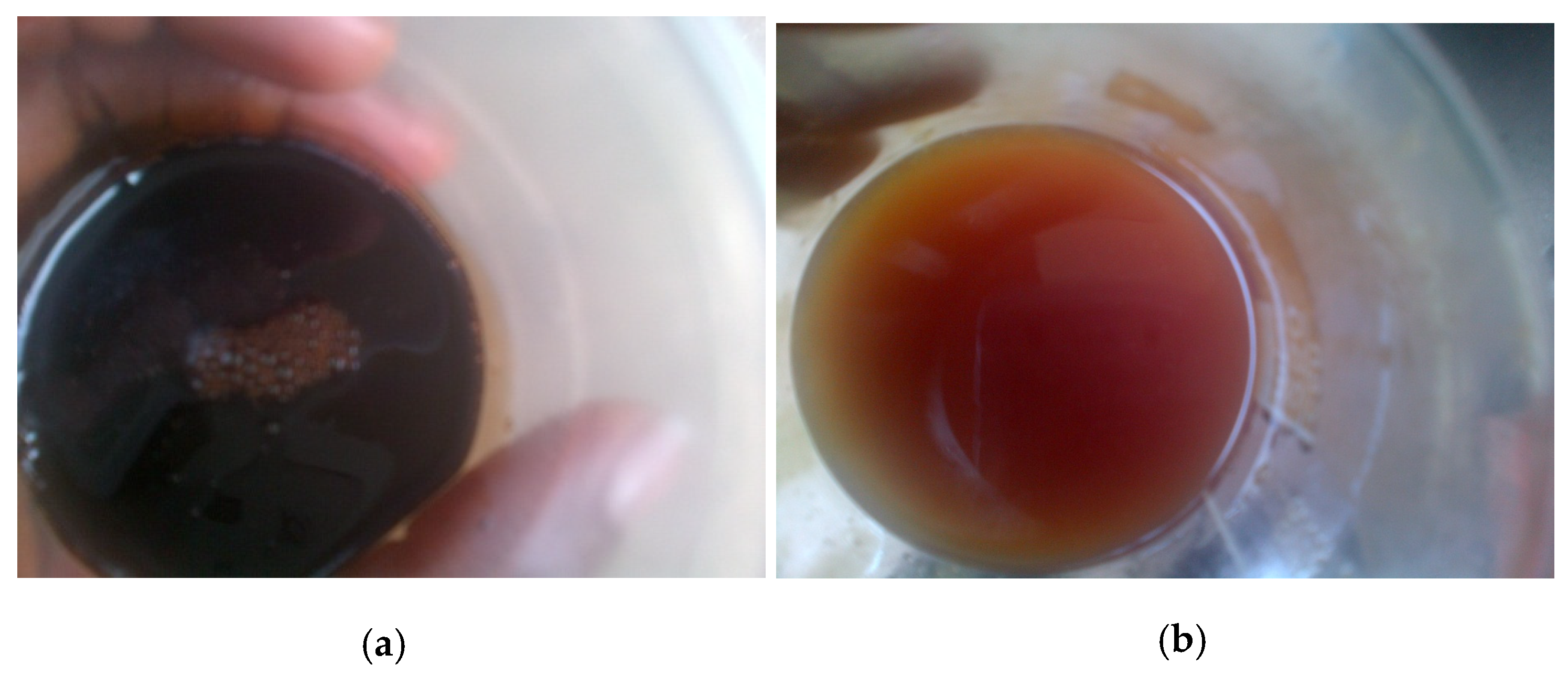 Recycling 04 00031 g002