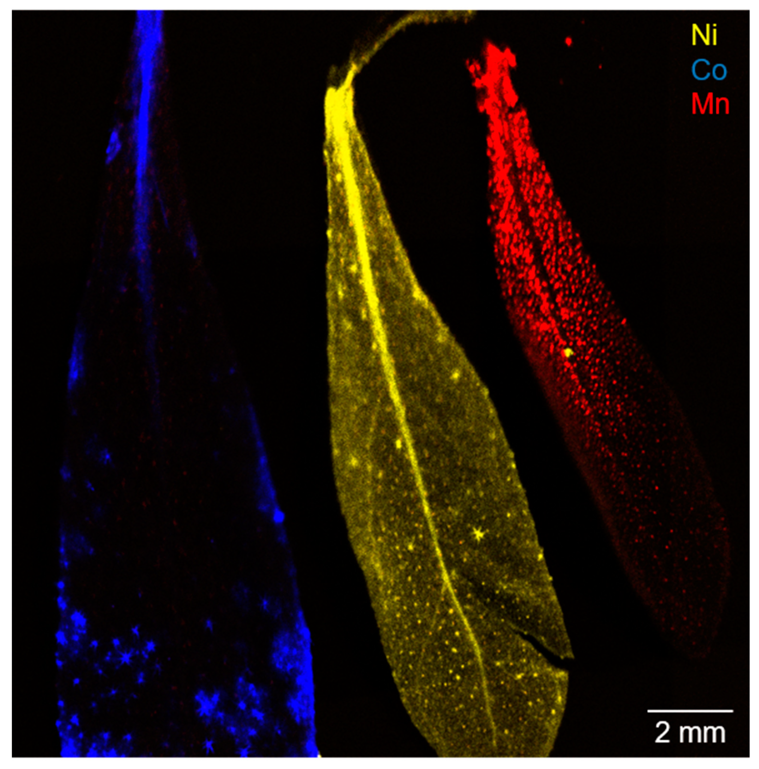 Recycling 05 00026 g001 Recycling 05 00026 g001