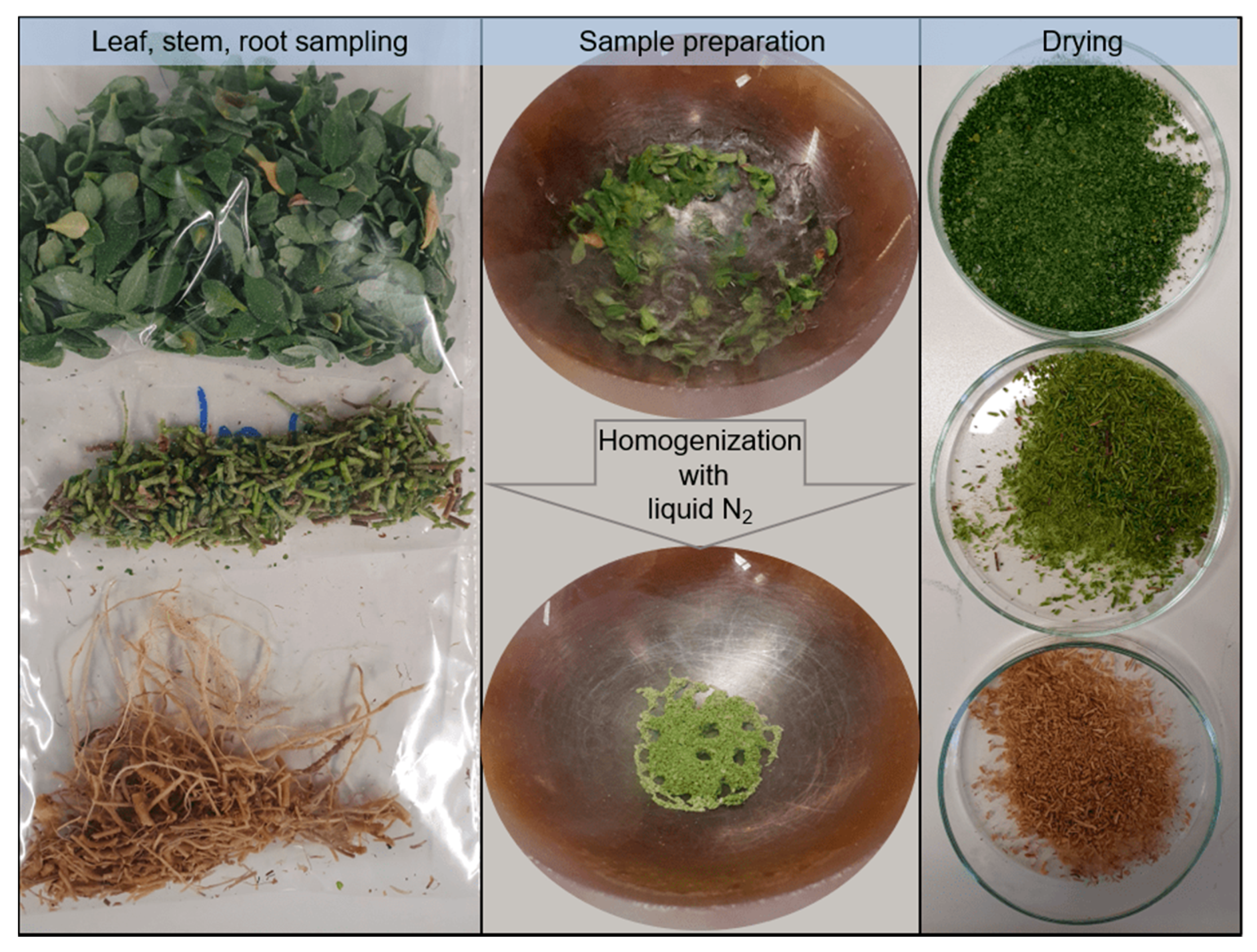 Recycling 05 00026 g005 Recycling 05 00026 g005