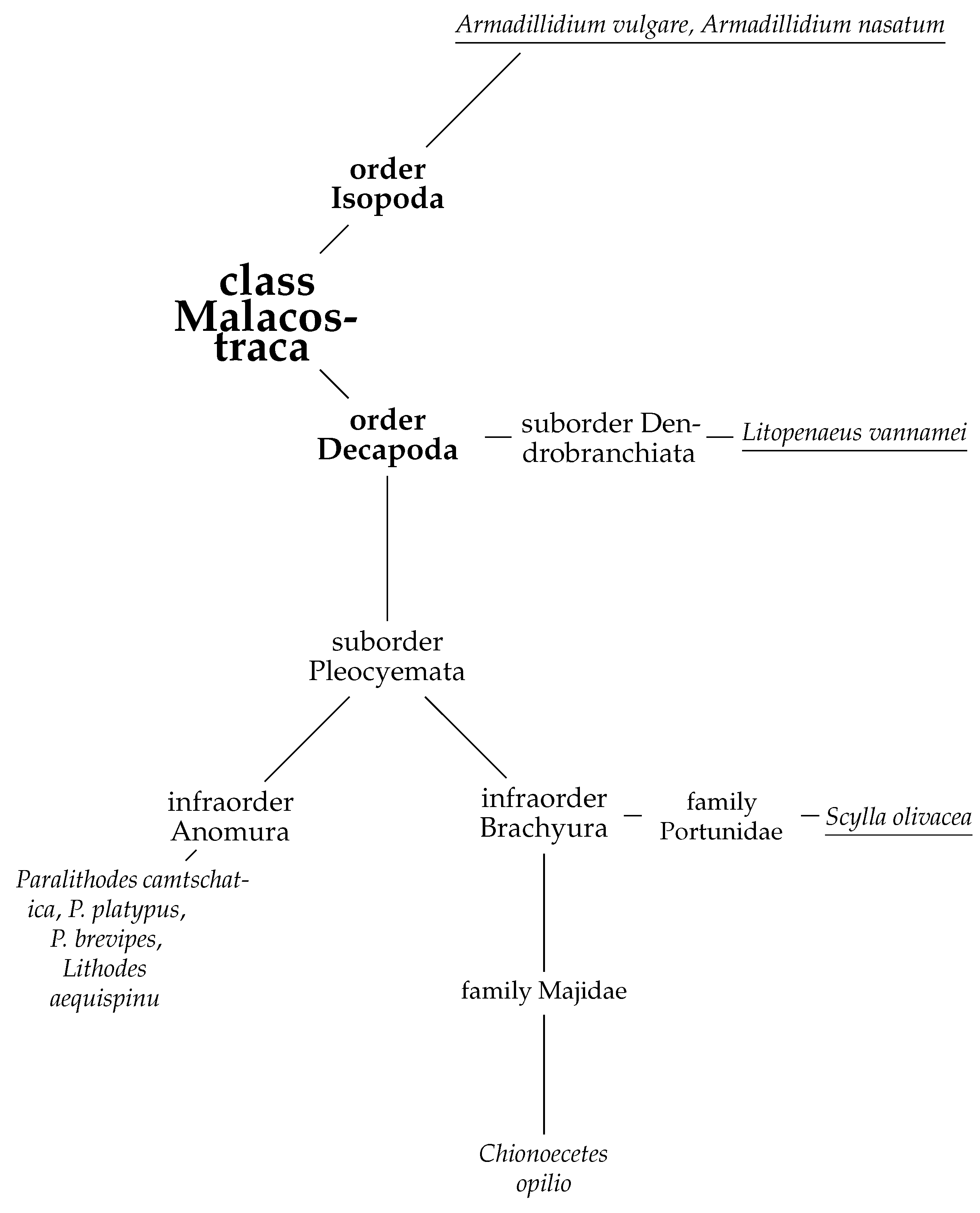 Recycling 06 00003 g001