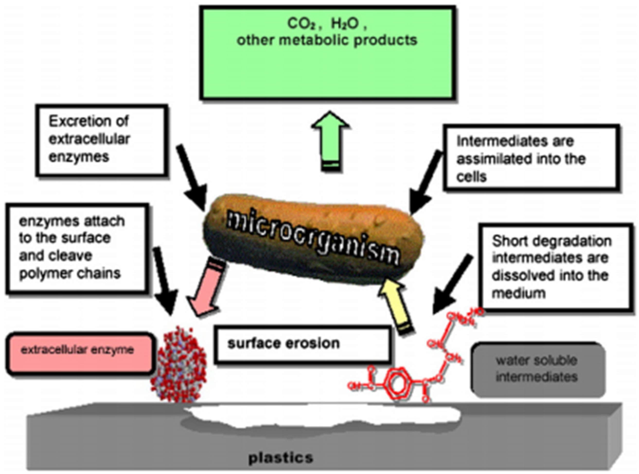 Recycling 06 00022 g002