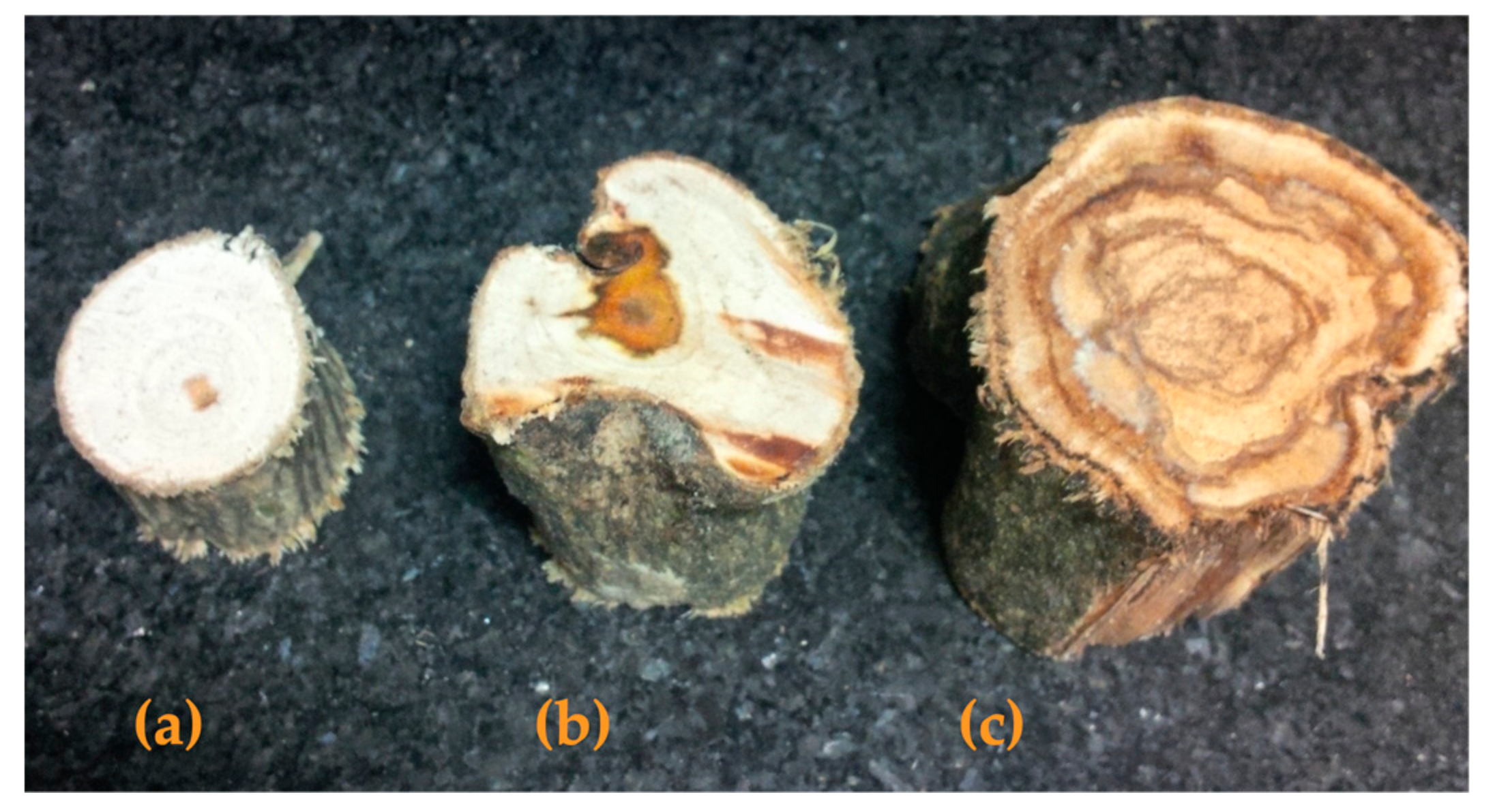 Recycling 06 00036 g003