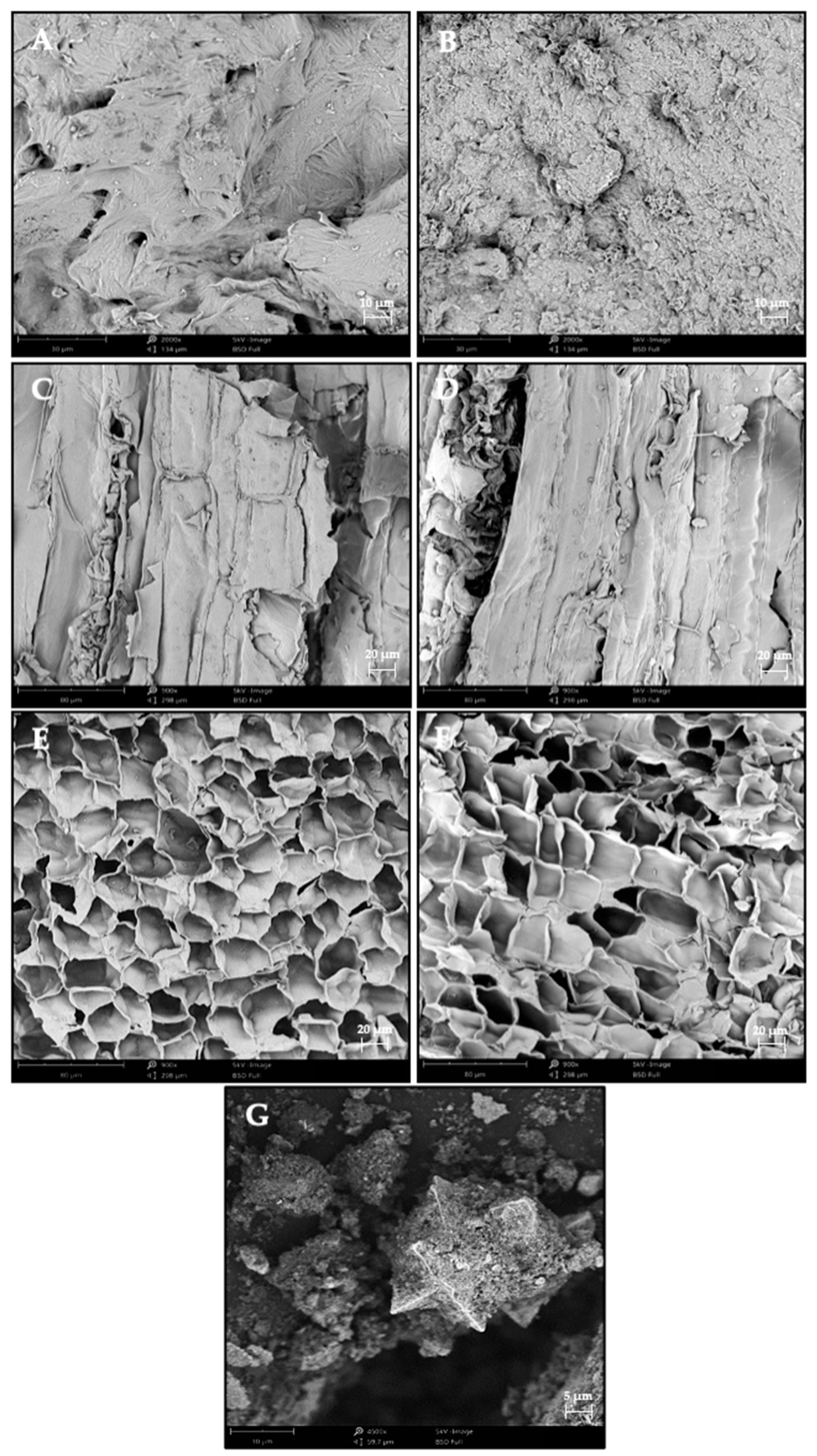 Recycling 06 00041 g003