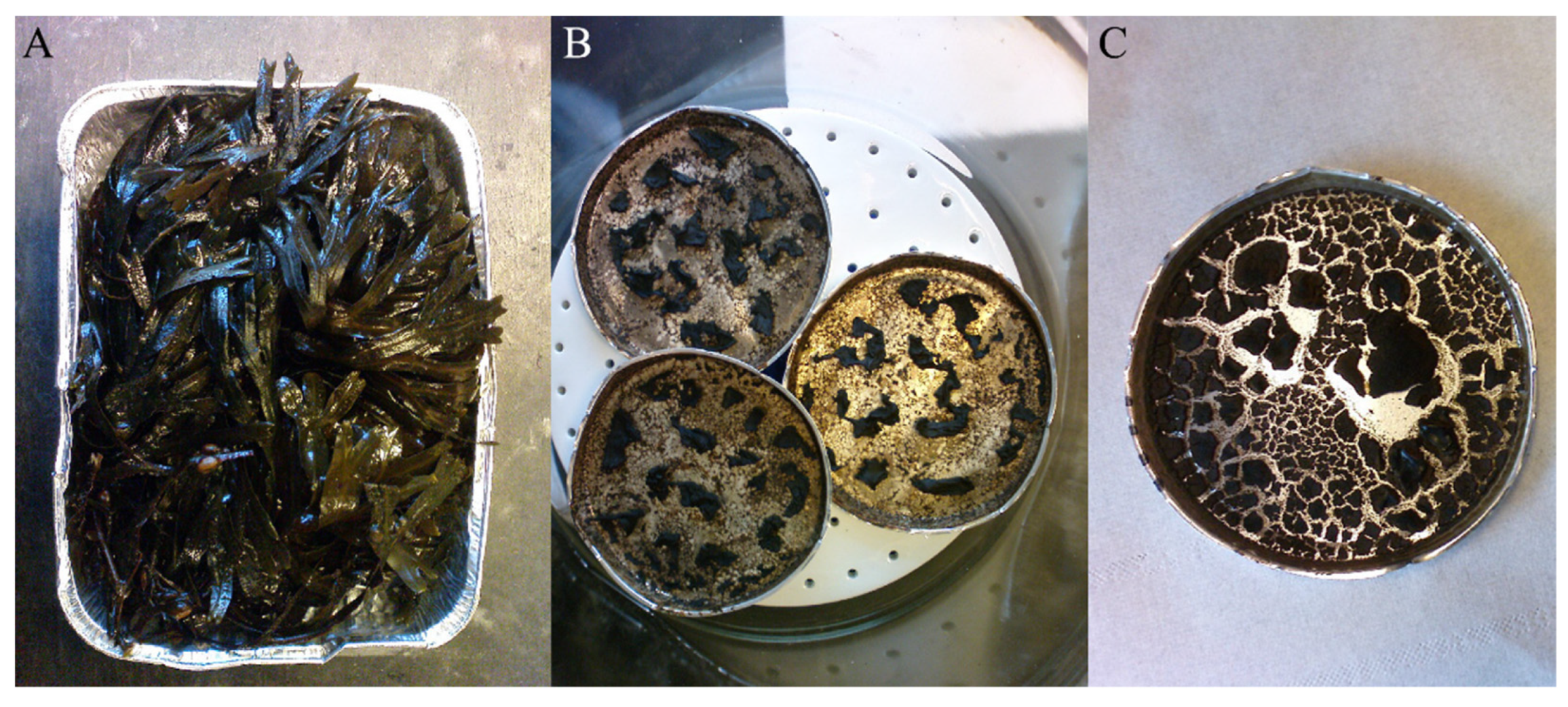 Recycling 06 00045 g007