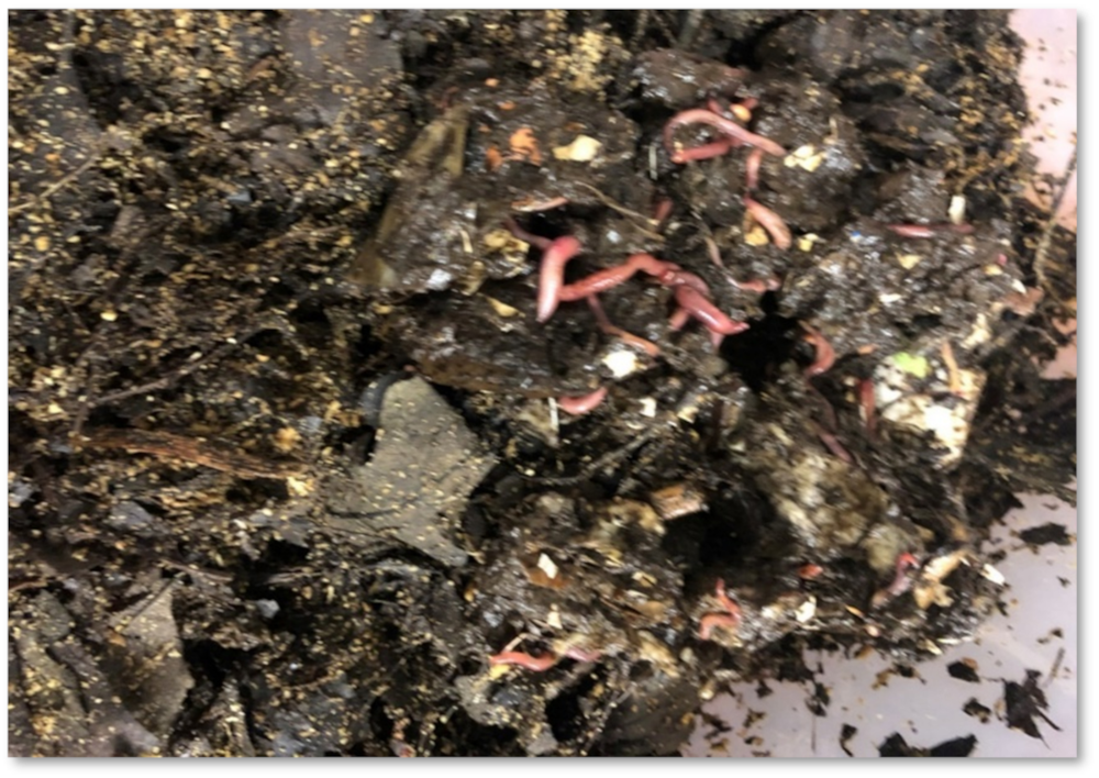 Recycling 07 00010 g004