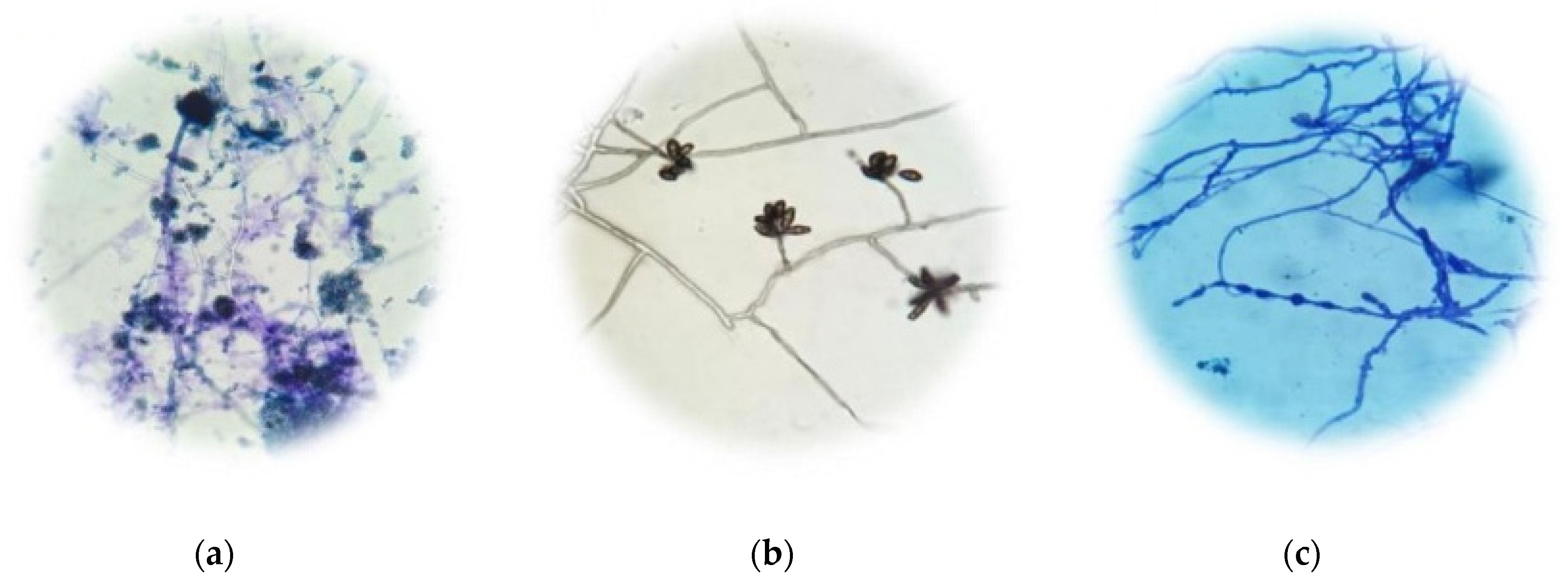 Recycling 07 00034 g004