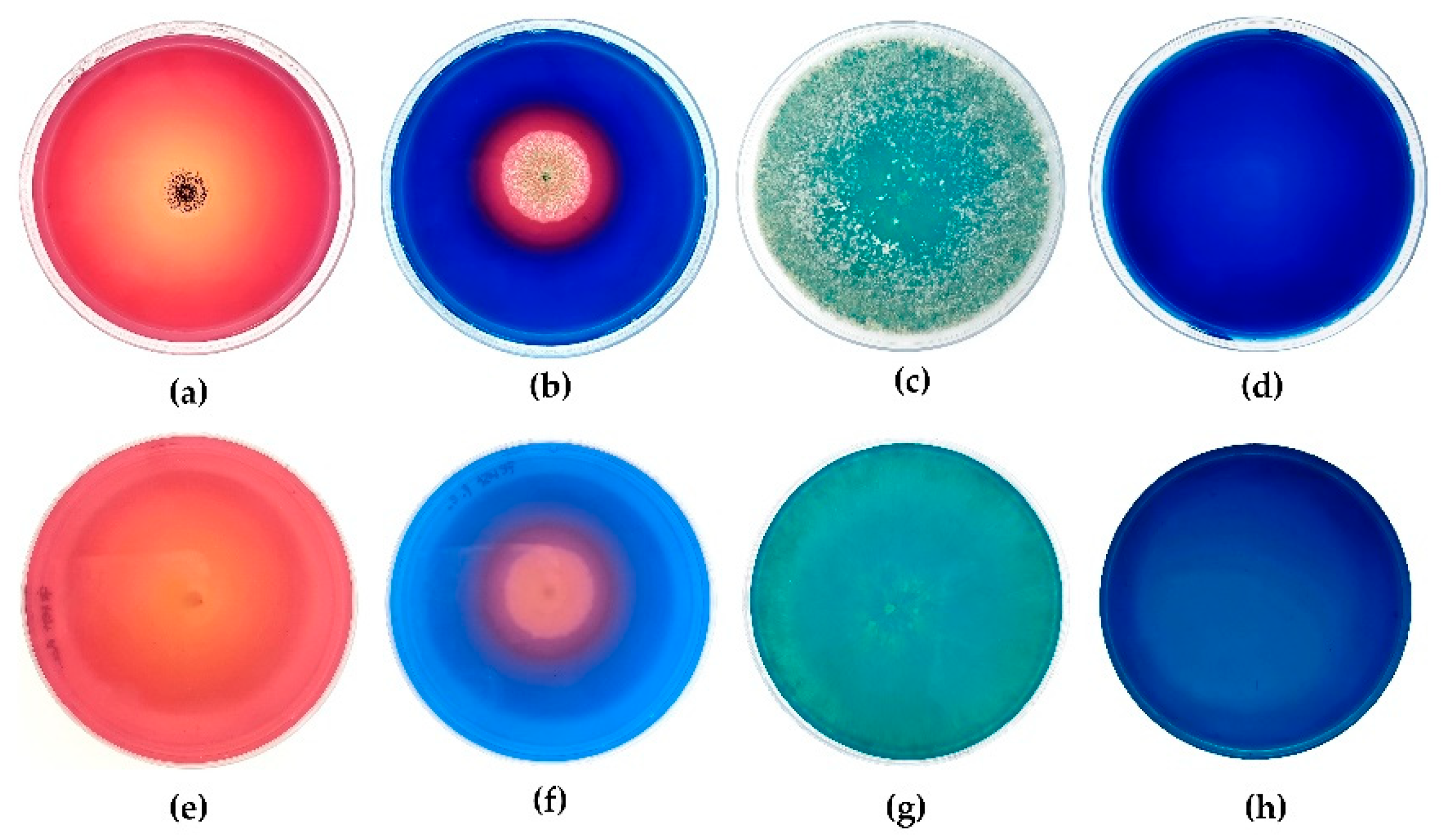 Recycling 07 00072 g001