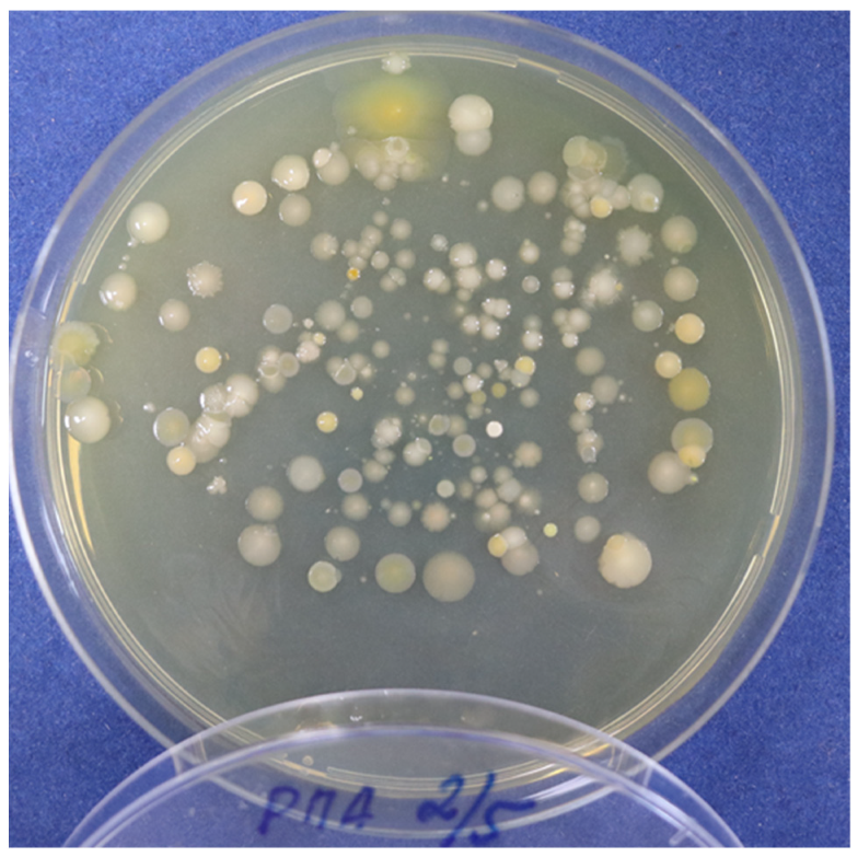 Recycling 07 00080 g003