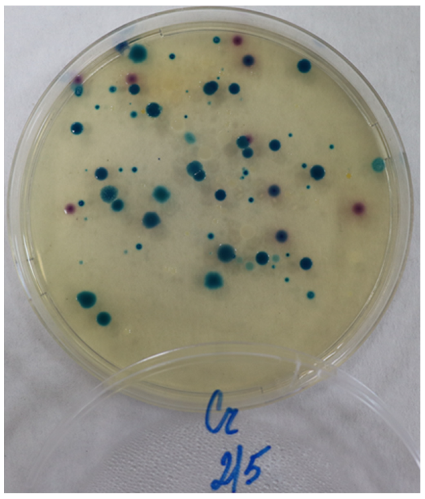 Recycling 07 00080 g005