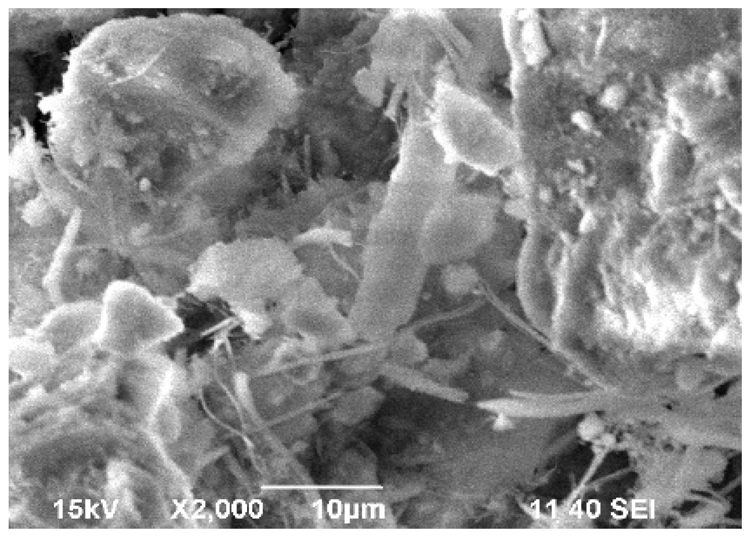 Recycling 07 00085 g005 Recycling 07 00085 g005