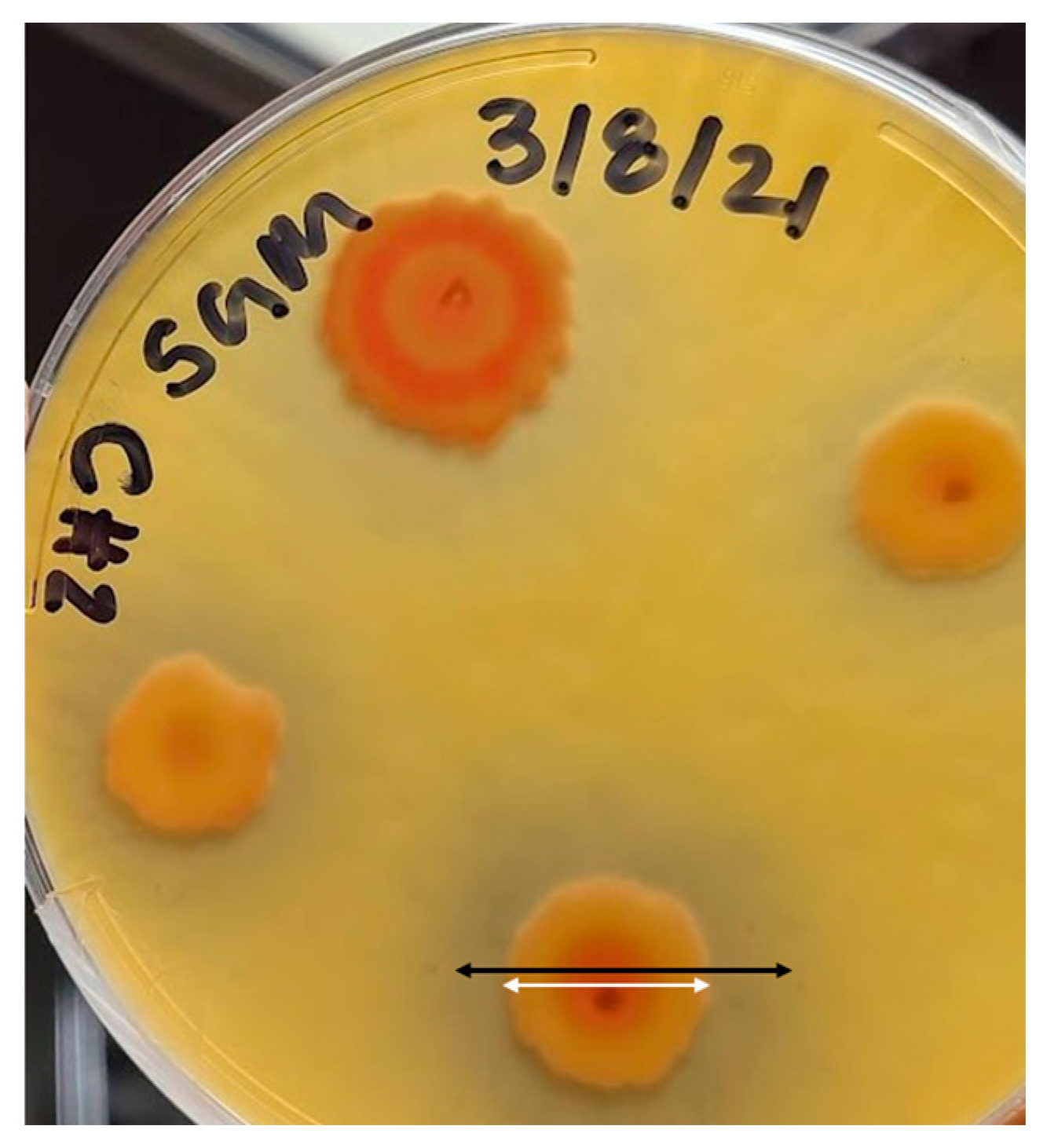 Recycling 08 00068 g002