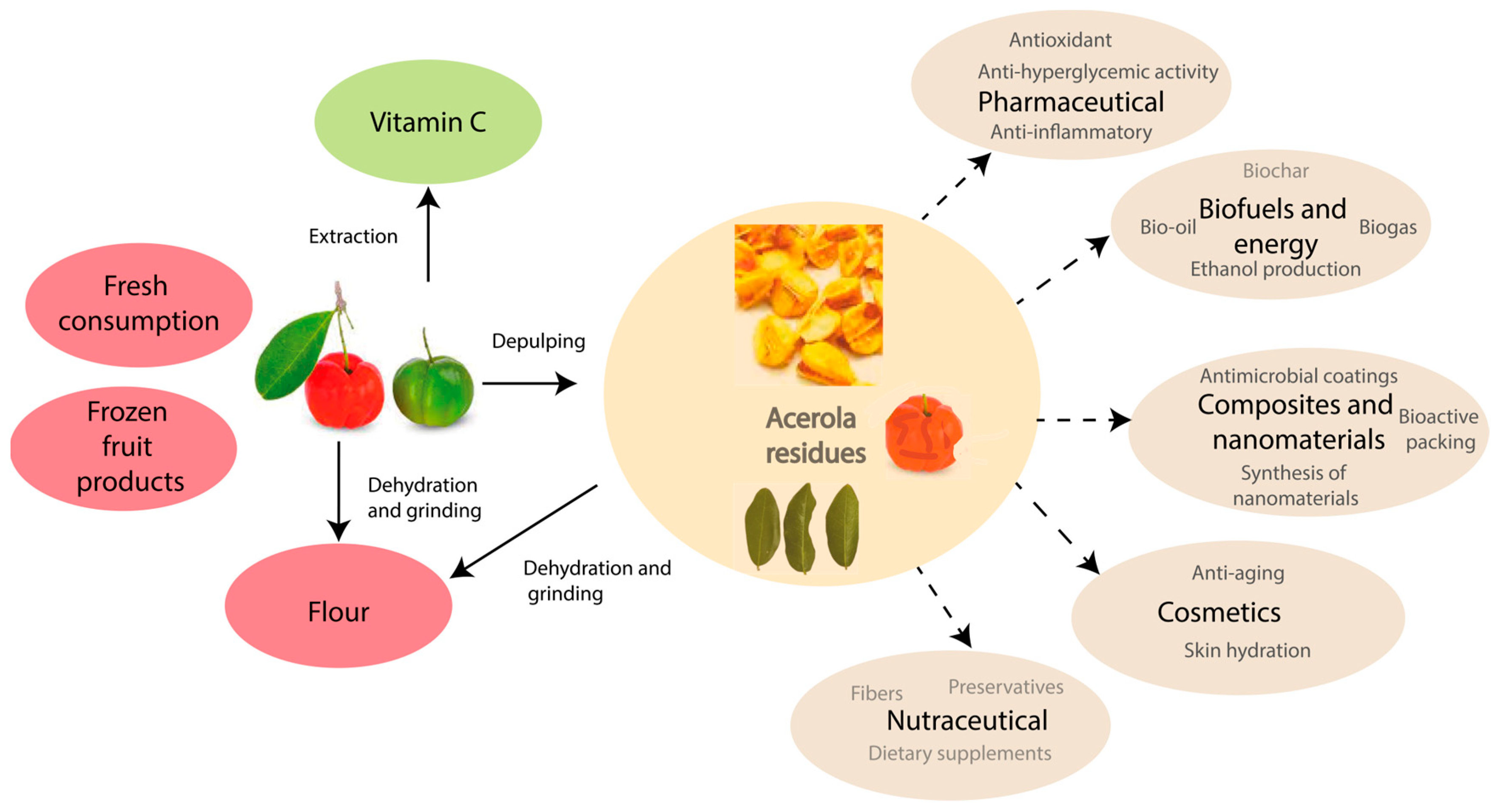 Recycling 08 00096 g001