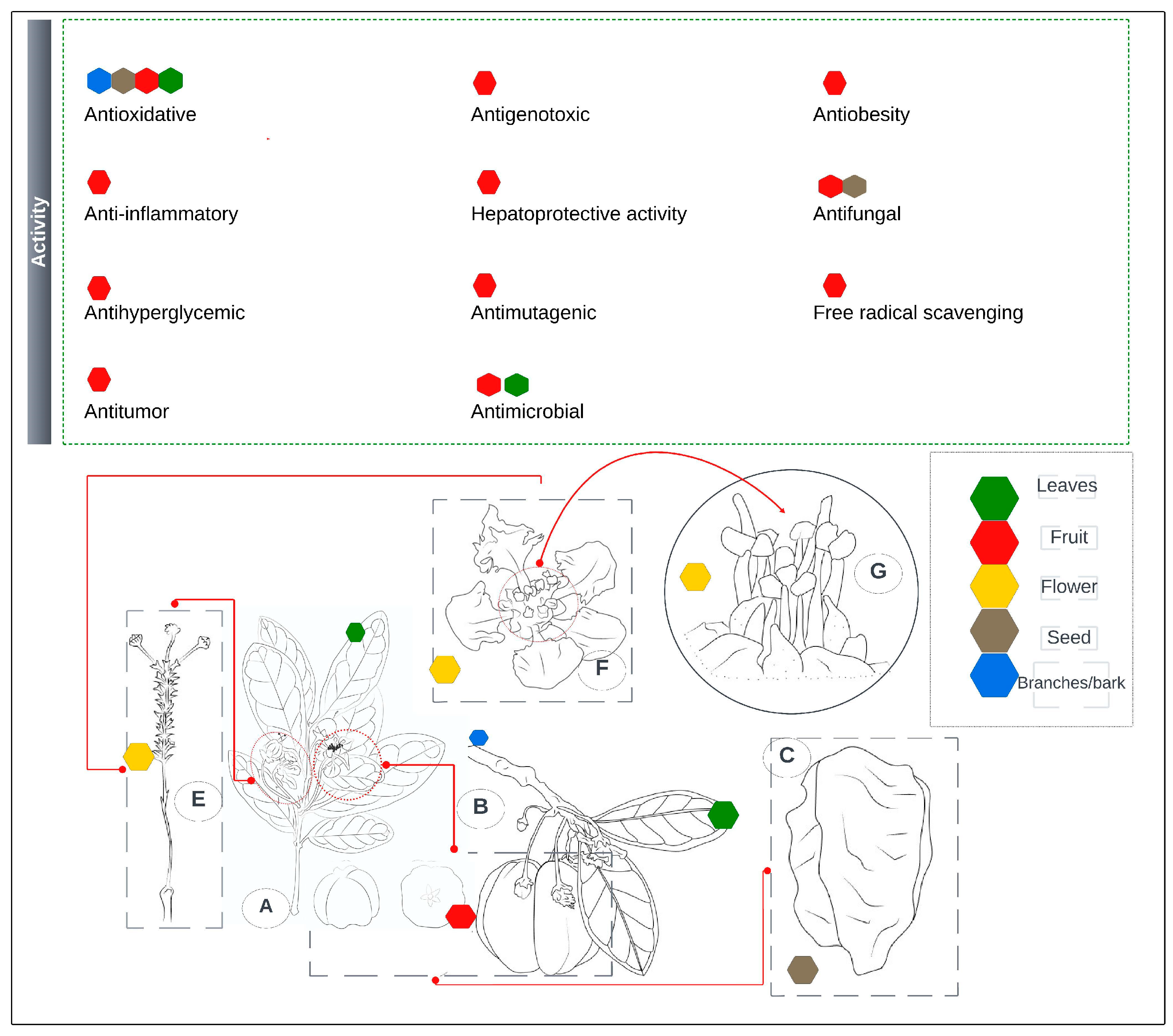 Recycling 08 00096 g002