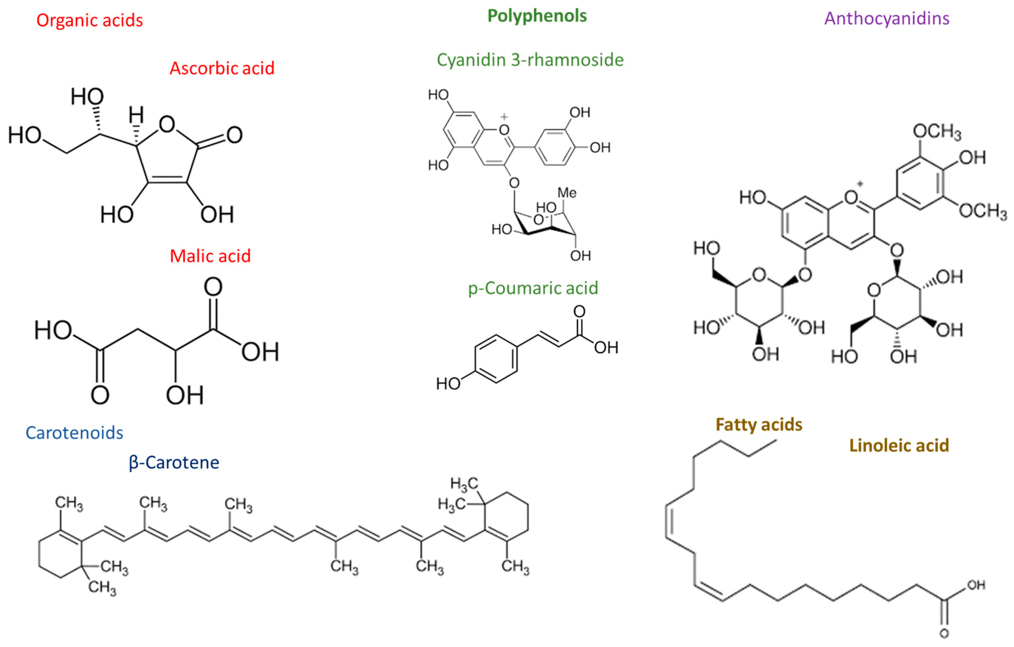 Recycling 08 00096 g004