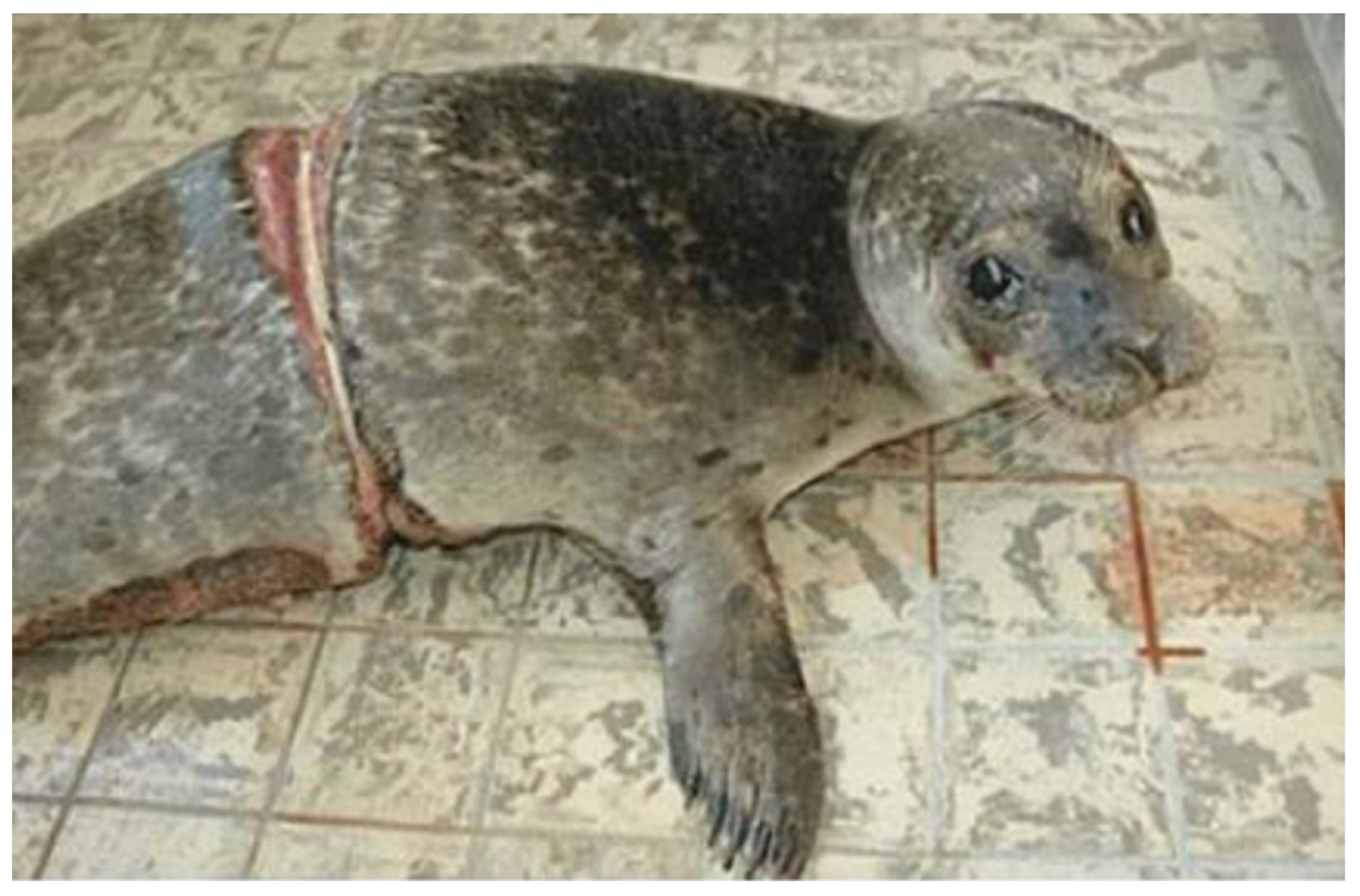 Recycling 09 00008 g006