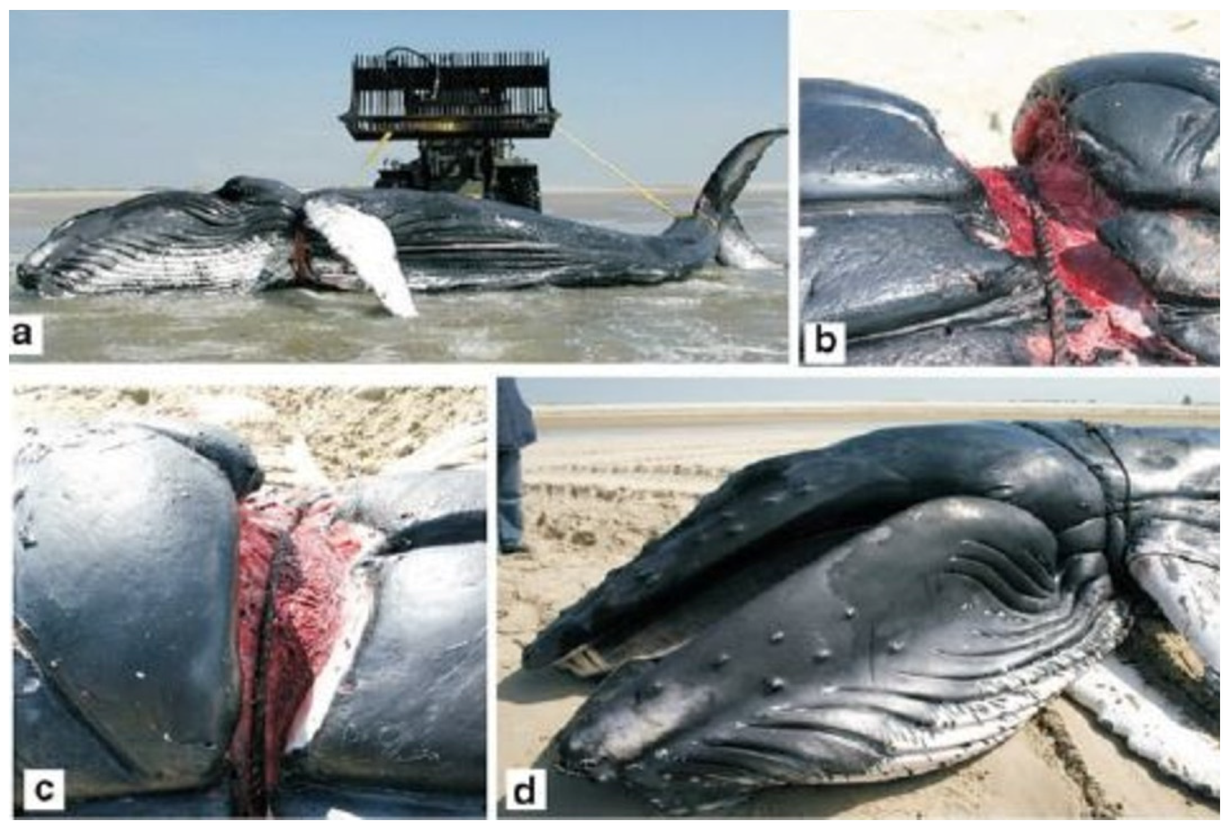 Recycling 09 00008 g007