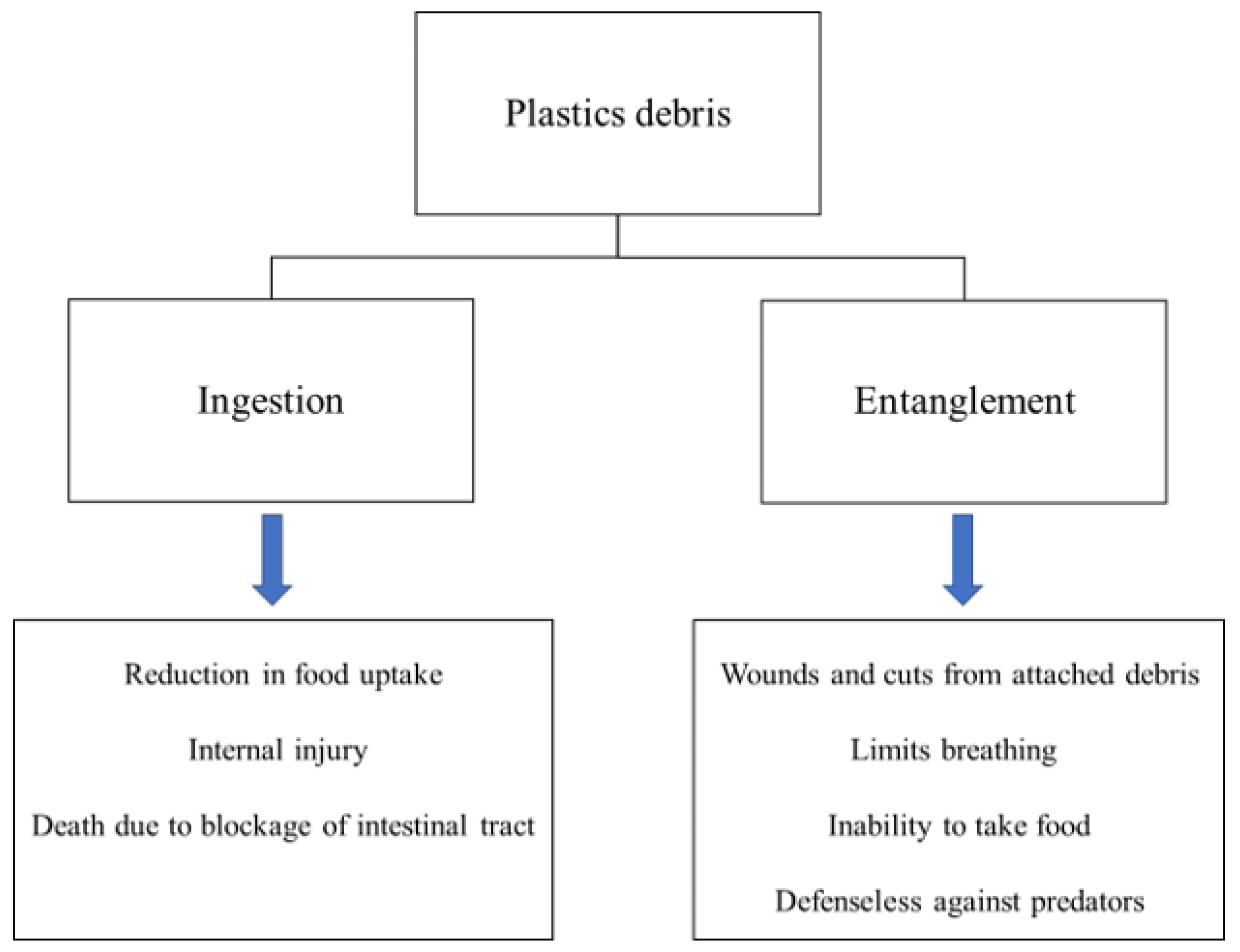 Recycling 09 00008 g009