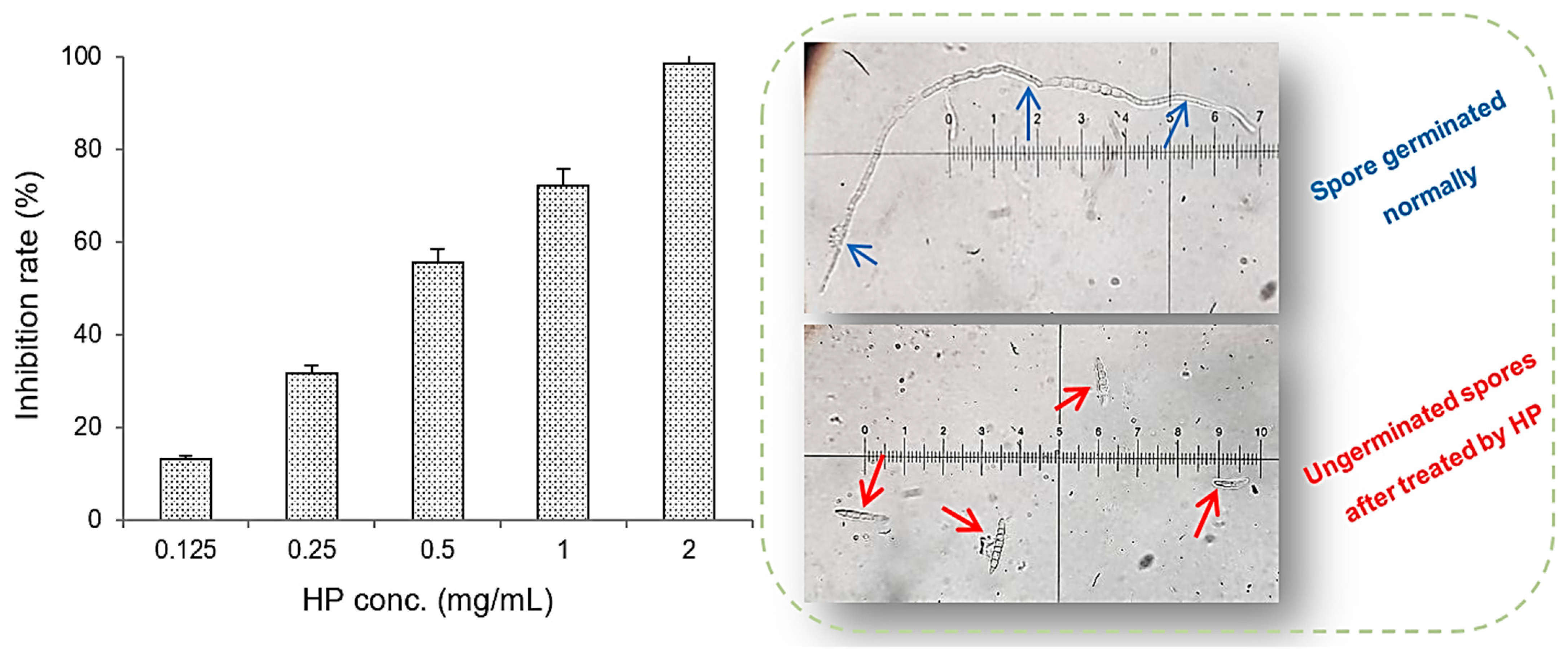 Recycling 09 00012 g006