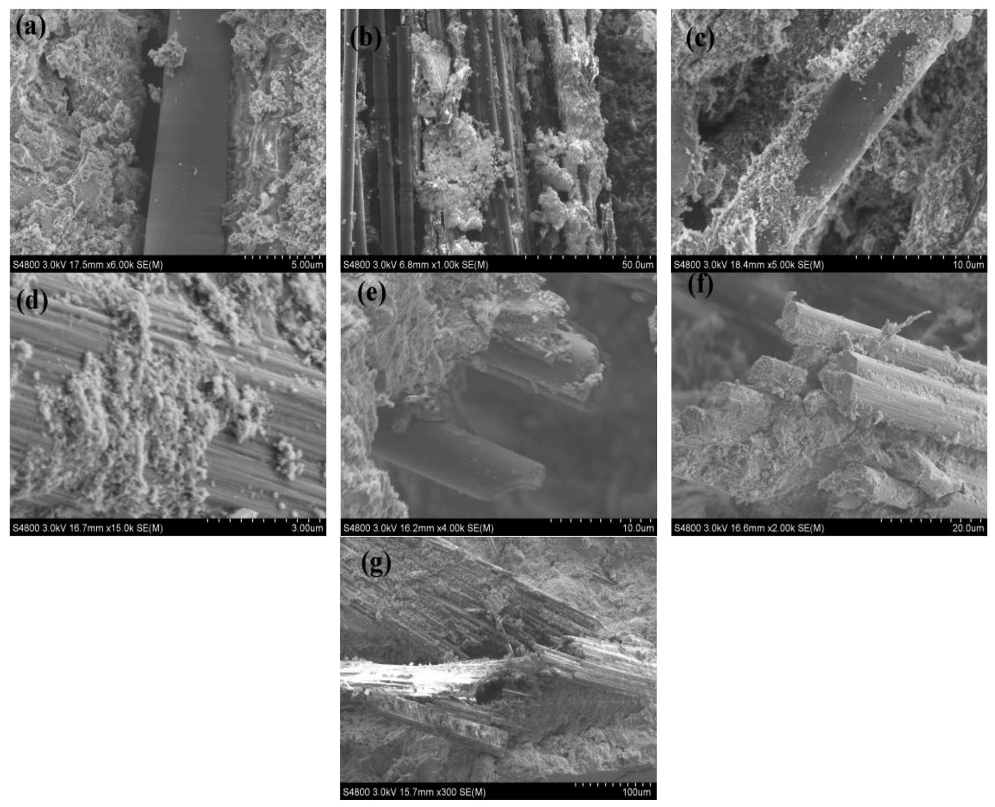 Recycling 09 00017 g004