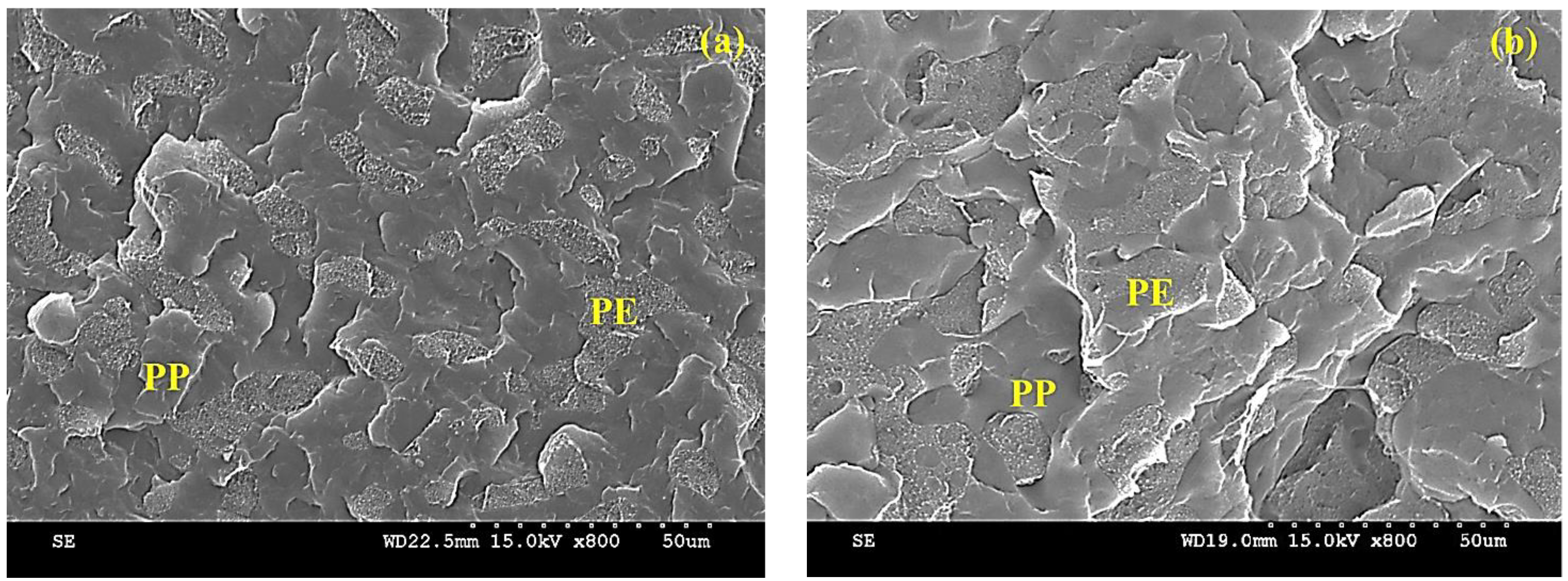 Recycling 09 00029 g001