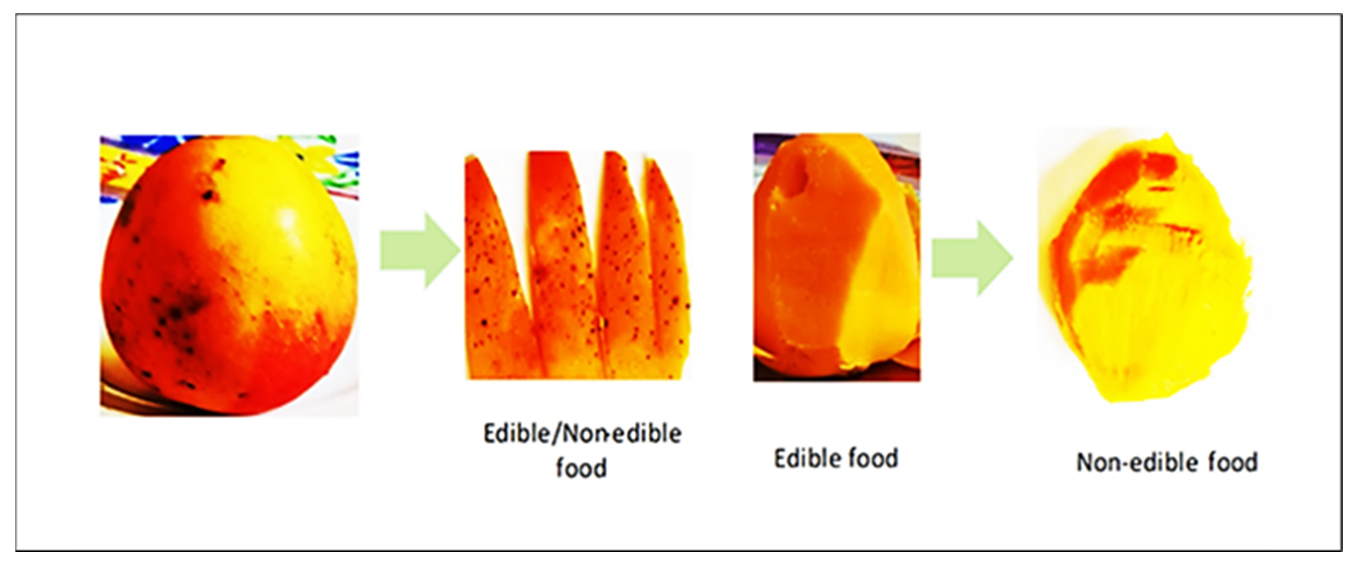 Recycling 09 00040 g001