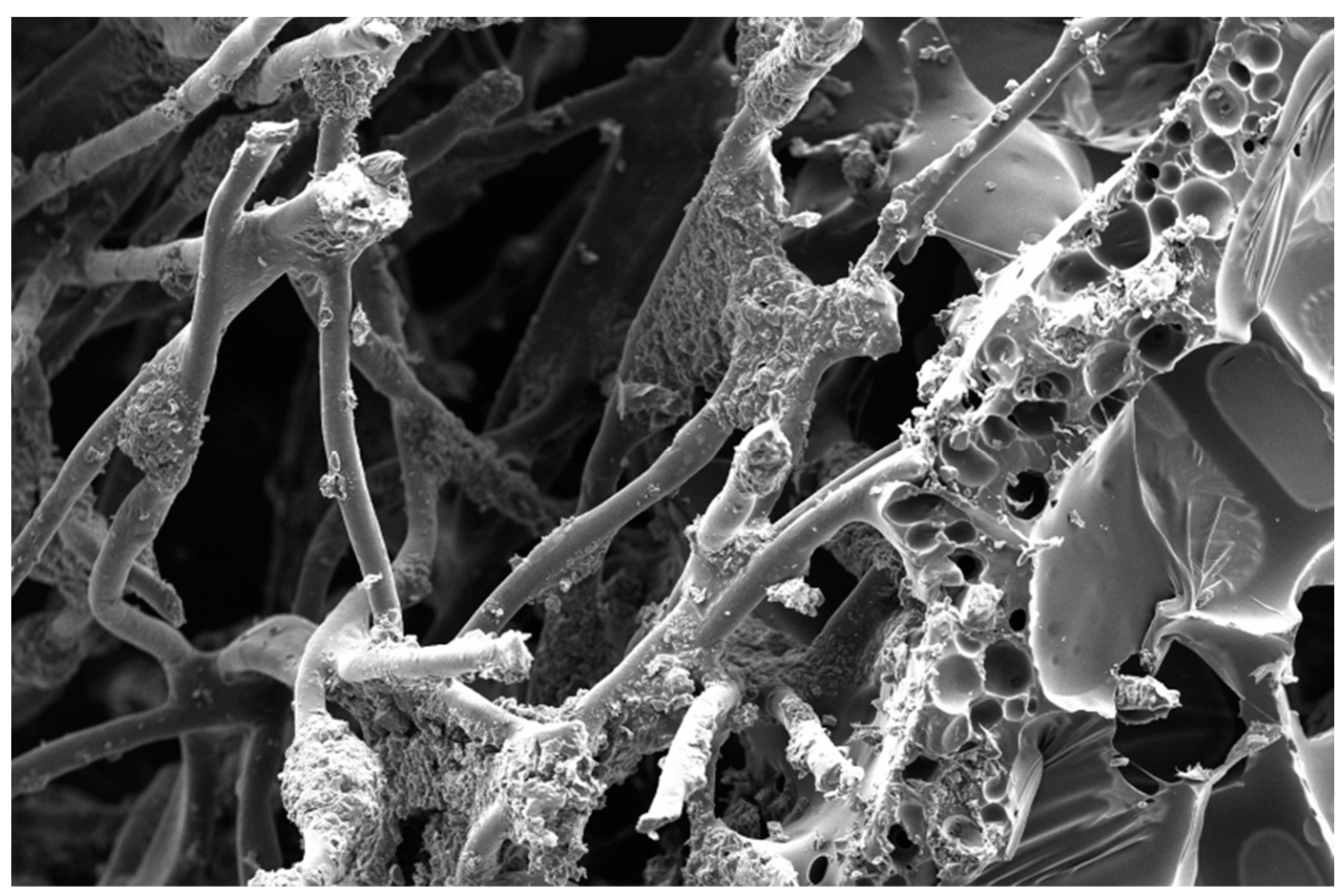 Recycling 09 00052 g001