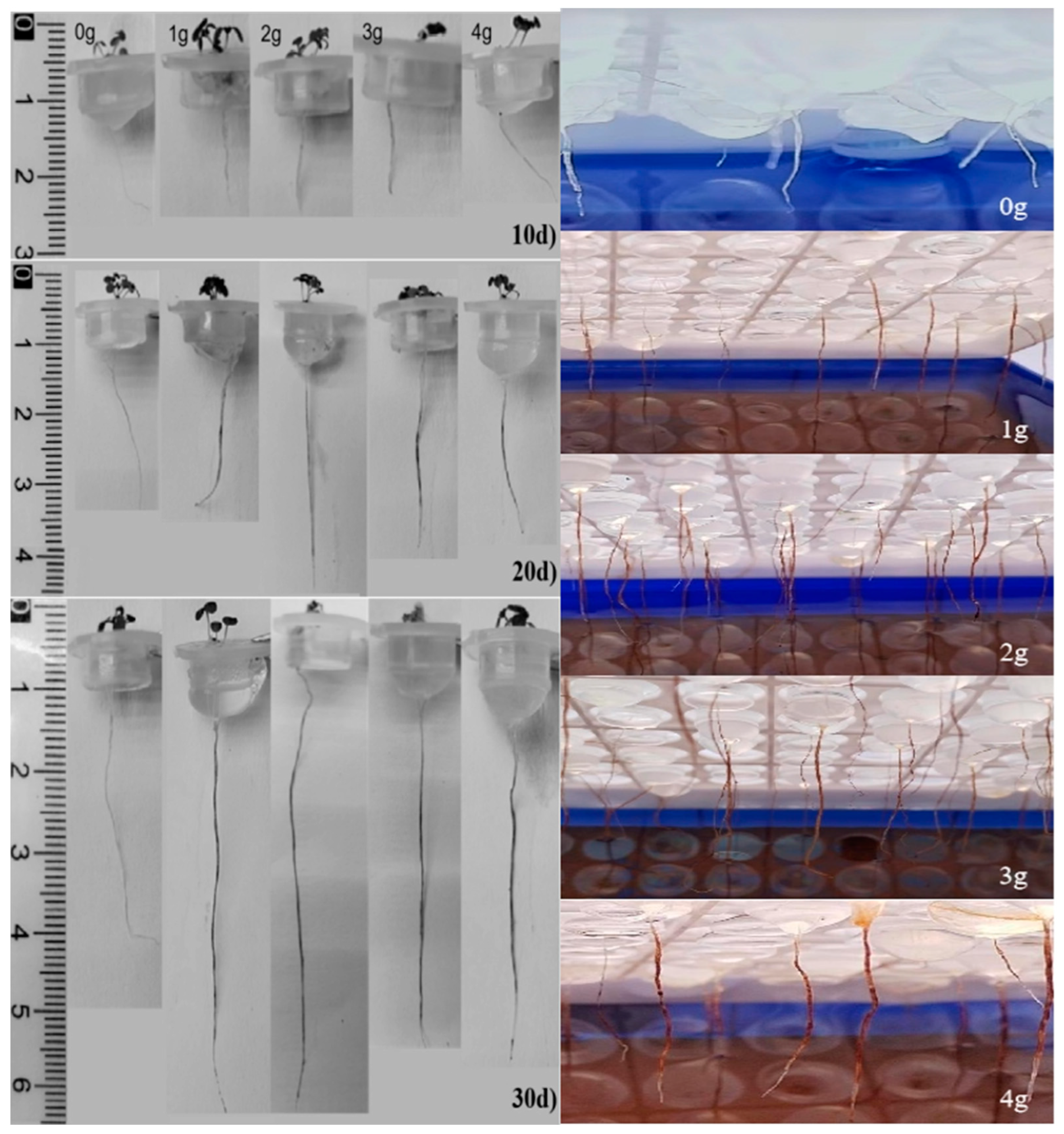 Recycling 09 00053 g003