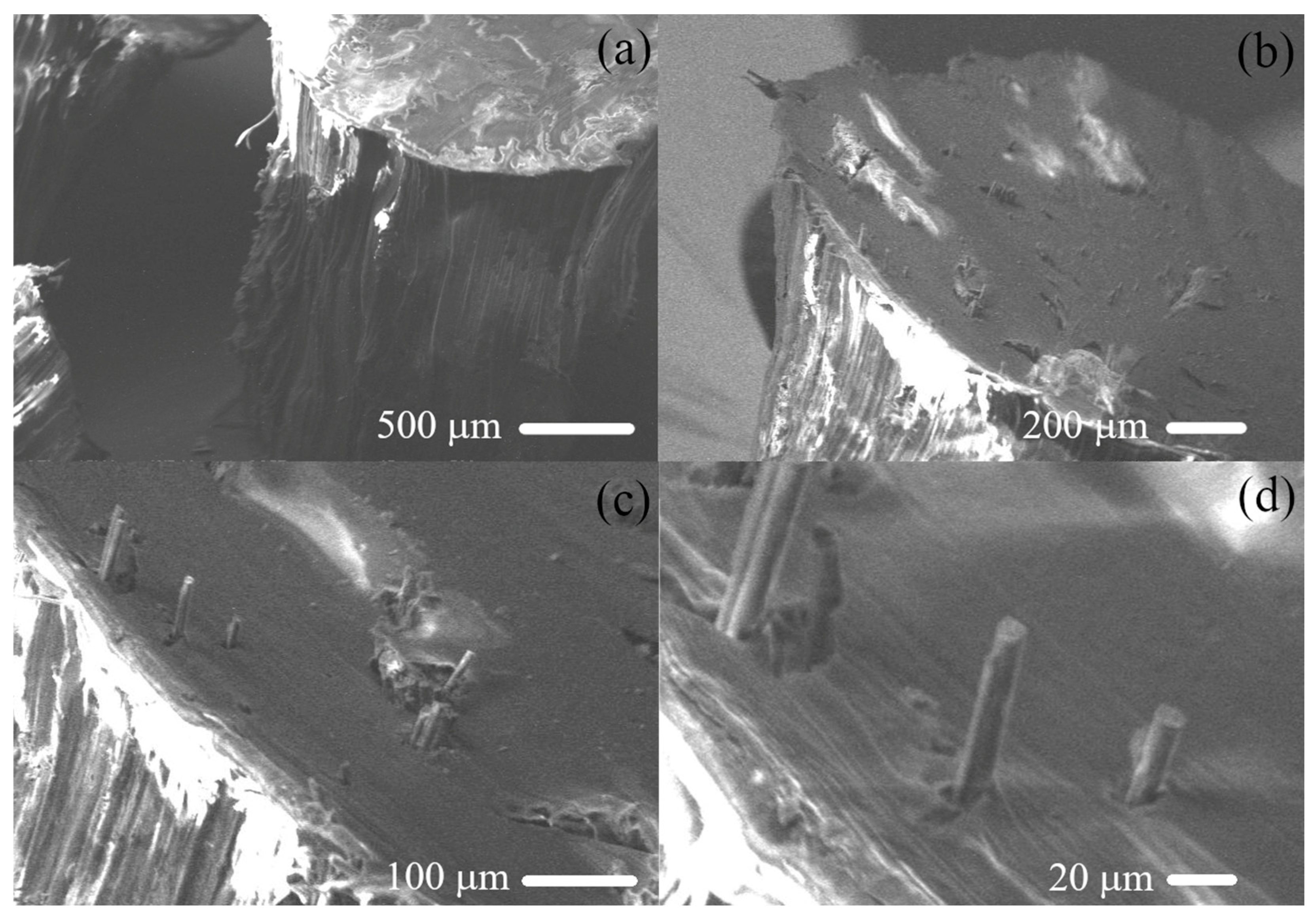 Recycling 09 00056 g005