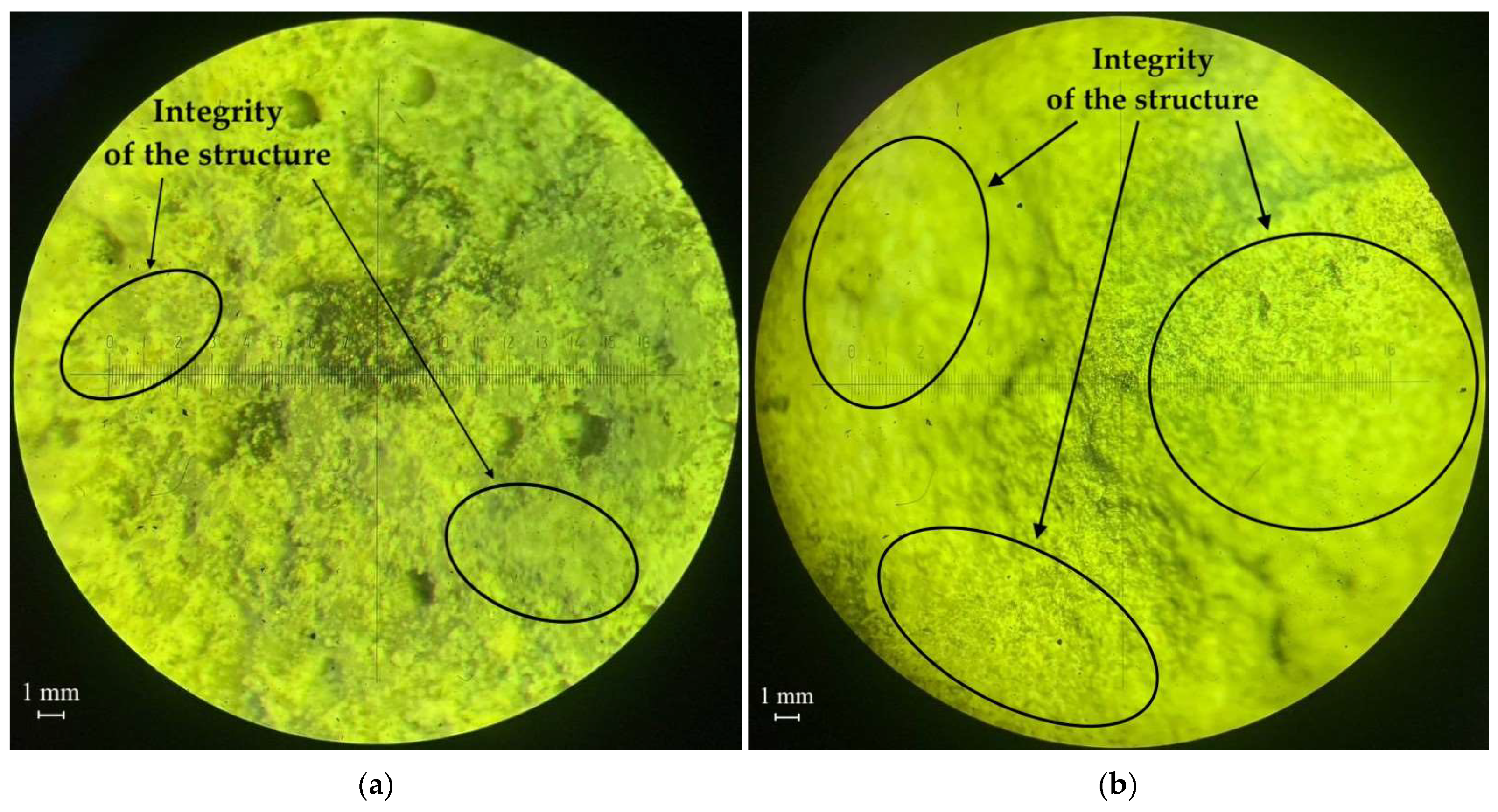 Recycling 09 00094 g005a