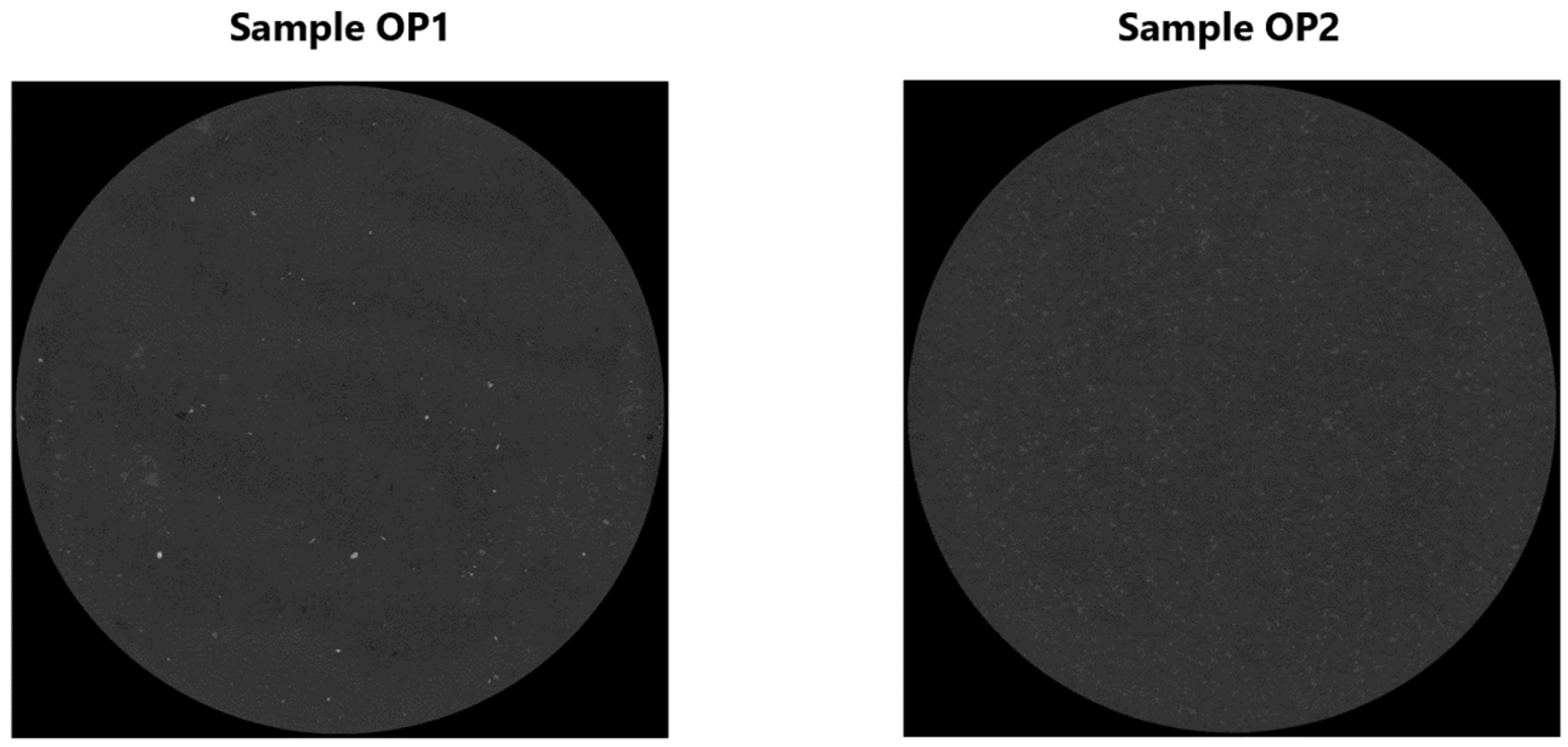 Recycling 10 00069 g010